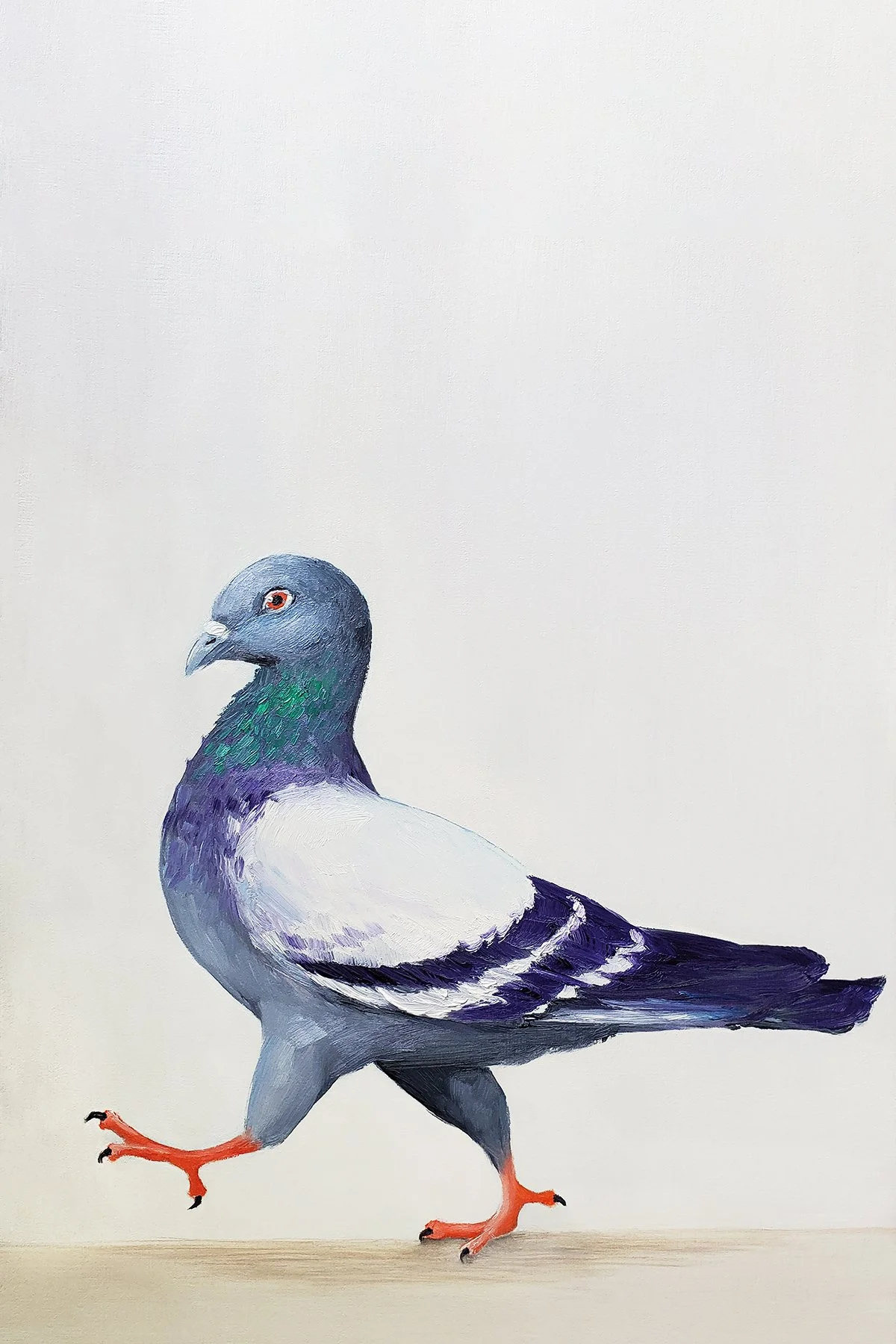Pigeon Walk (+15 Brightness).jpg