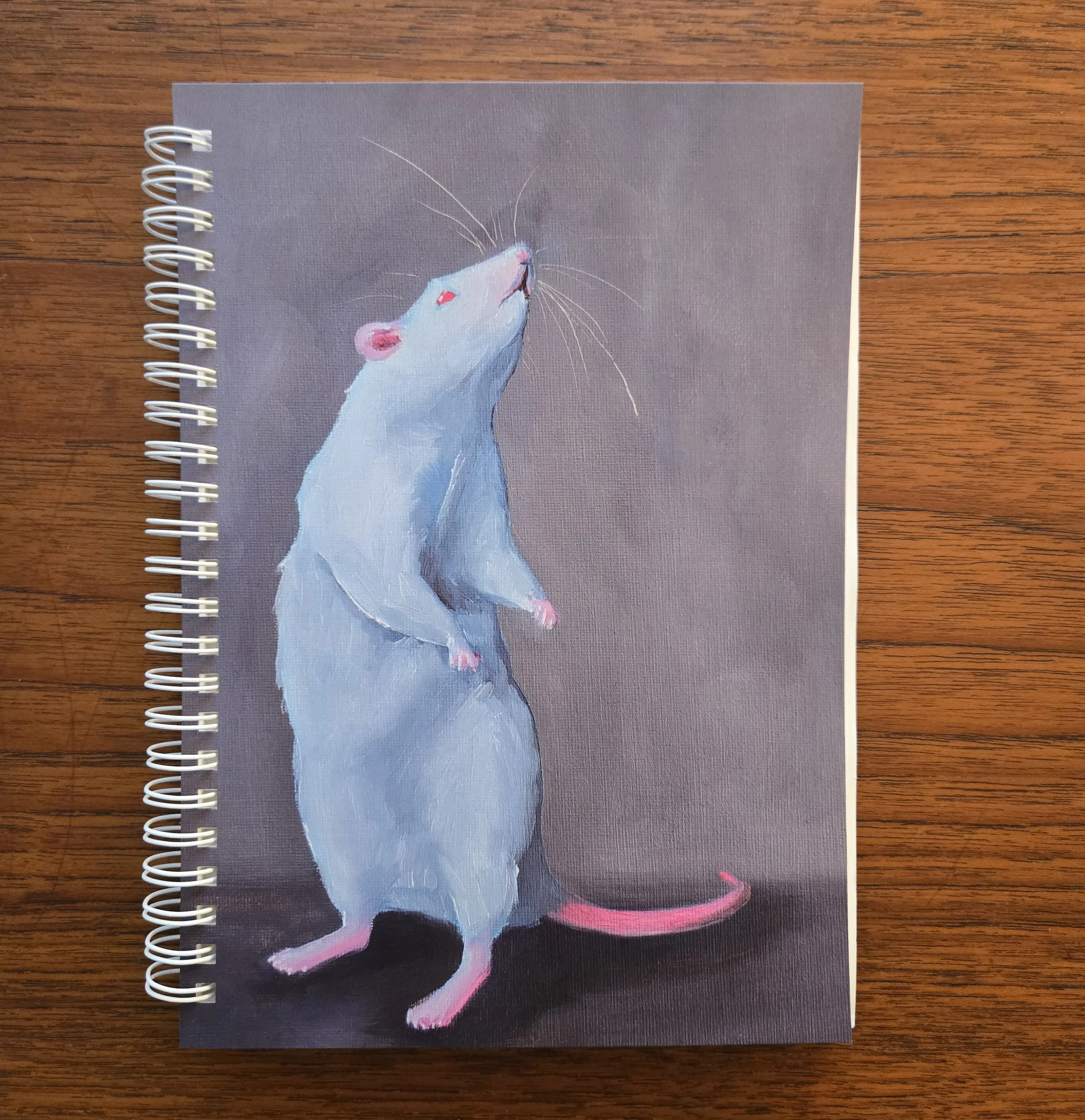 Rat Possum Stickerbook Front.jpg