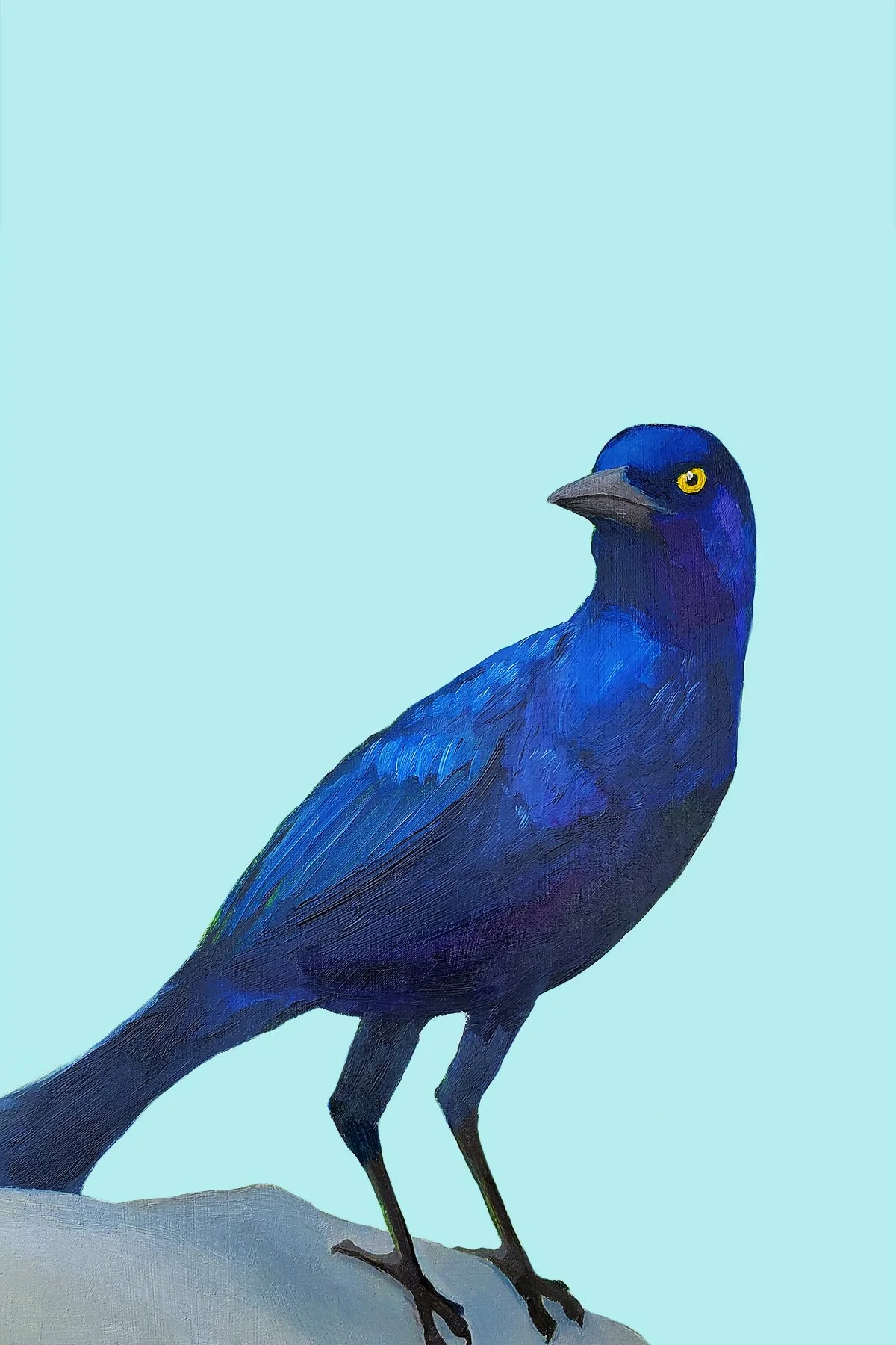 Grackle (+15 Brightness).jpg