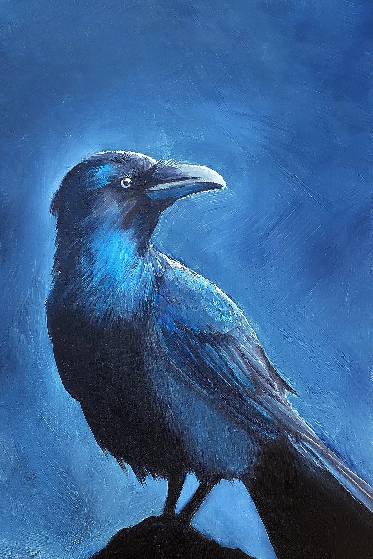 Raven (+15 Brightness).jpg