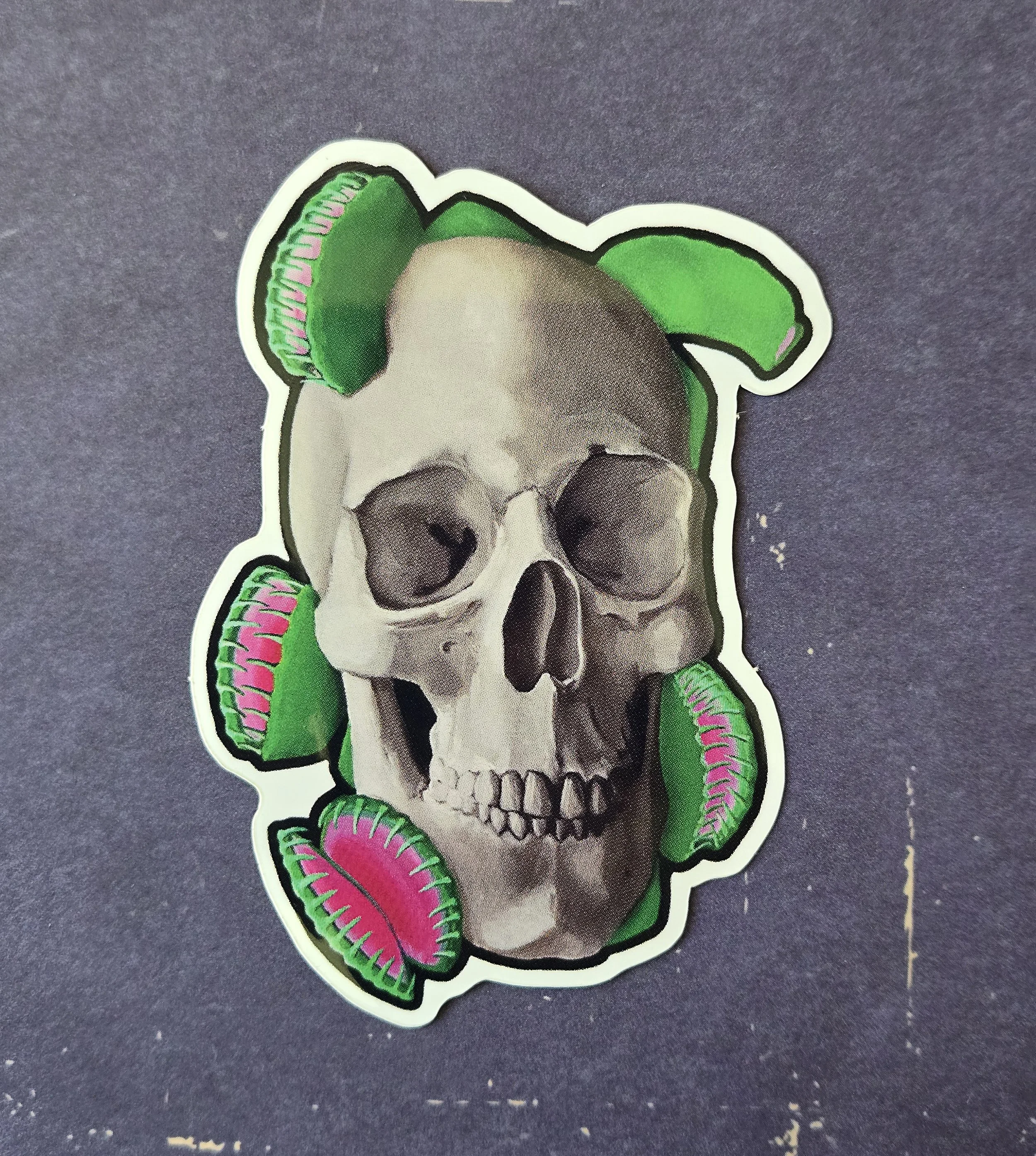 Skull Flytrap.jpg