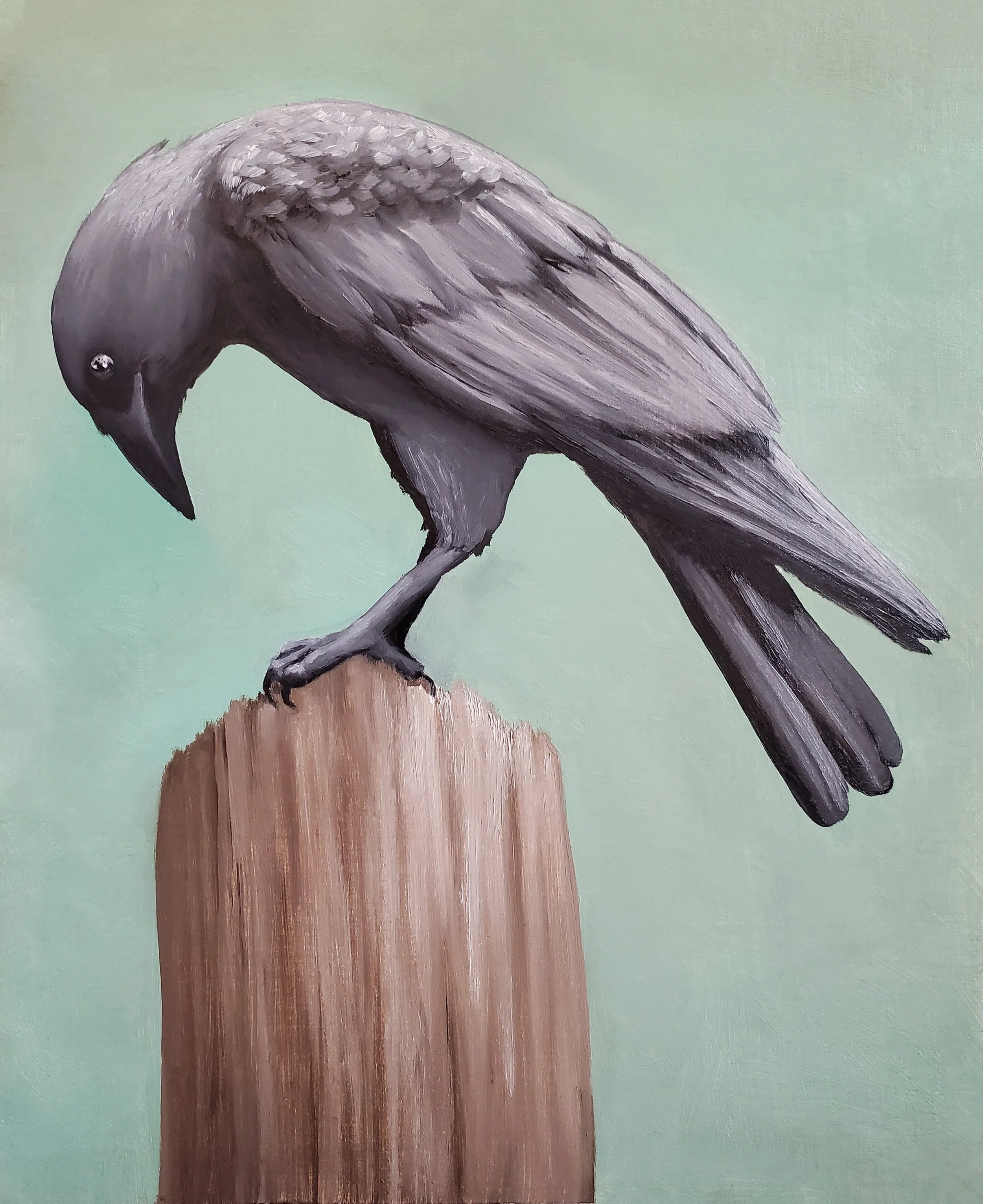 Crow Fencepost (Brightness +15).jpg