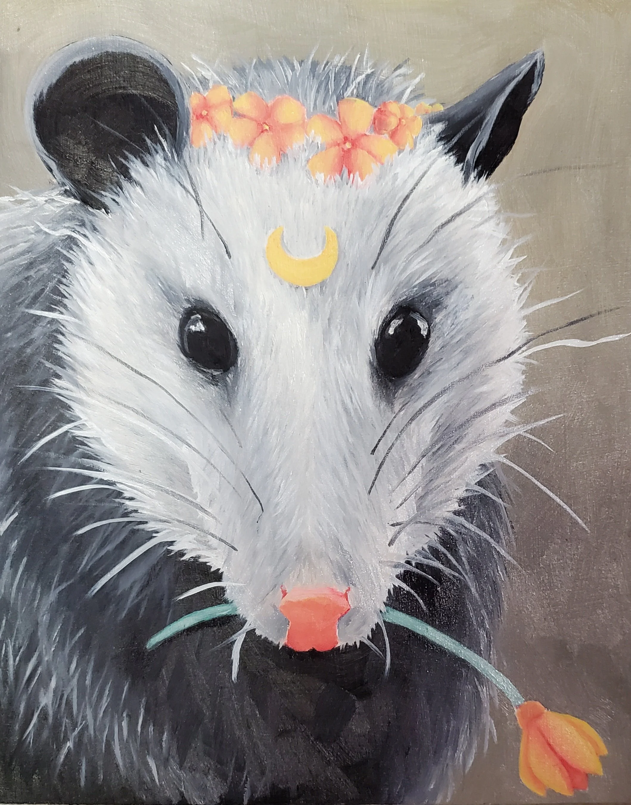 Possum.jpg