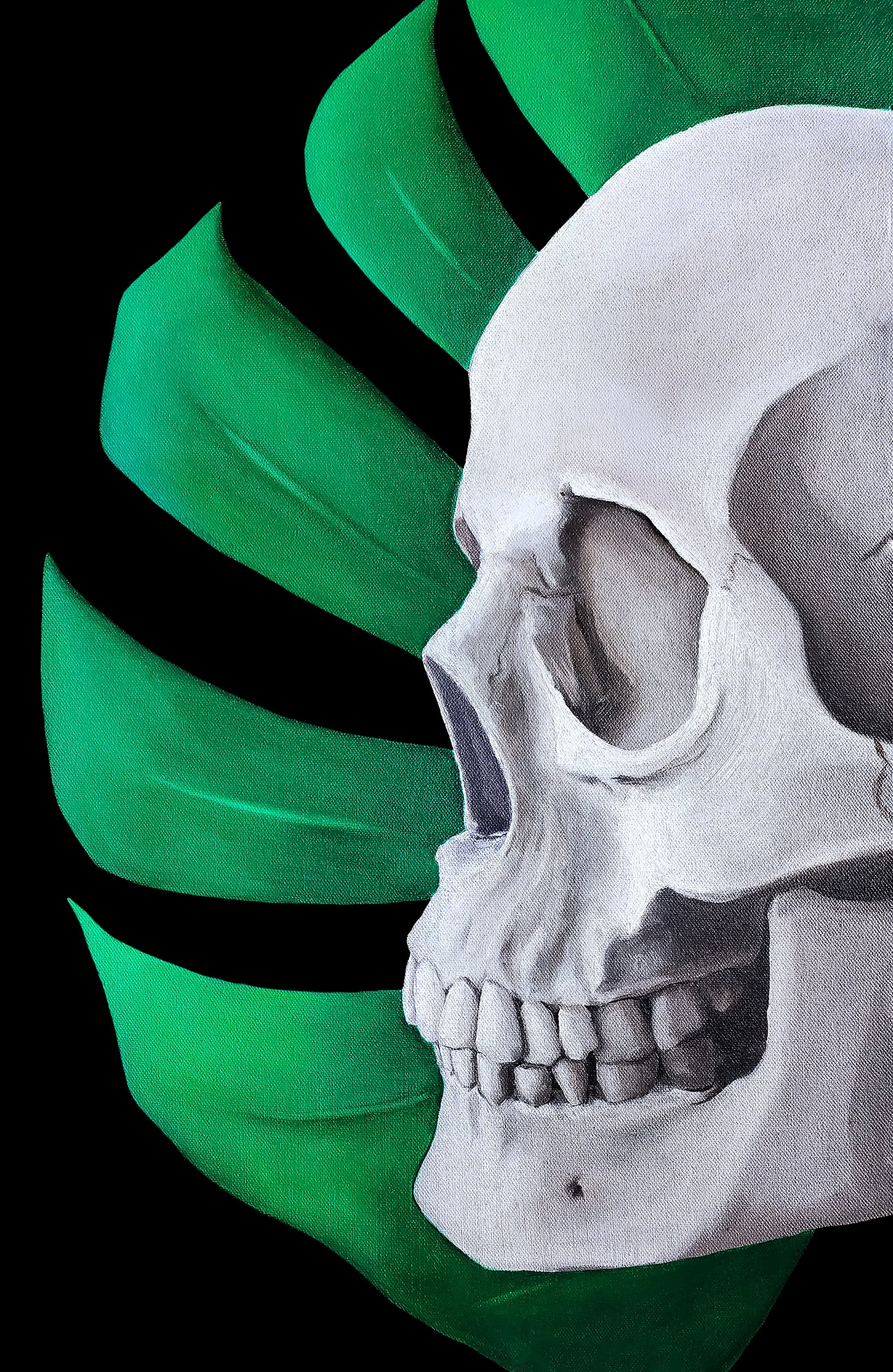 Philidendrum Skull.jpg