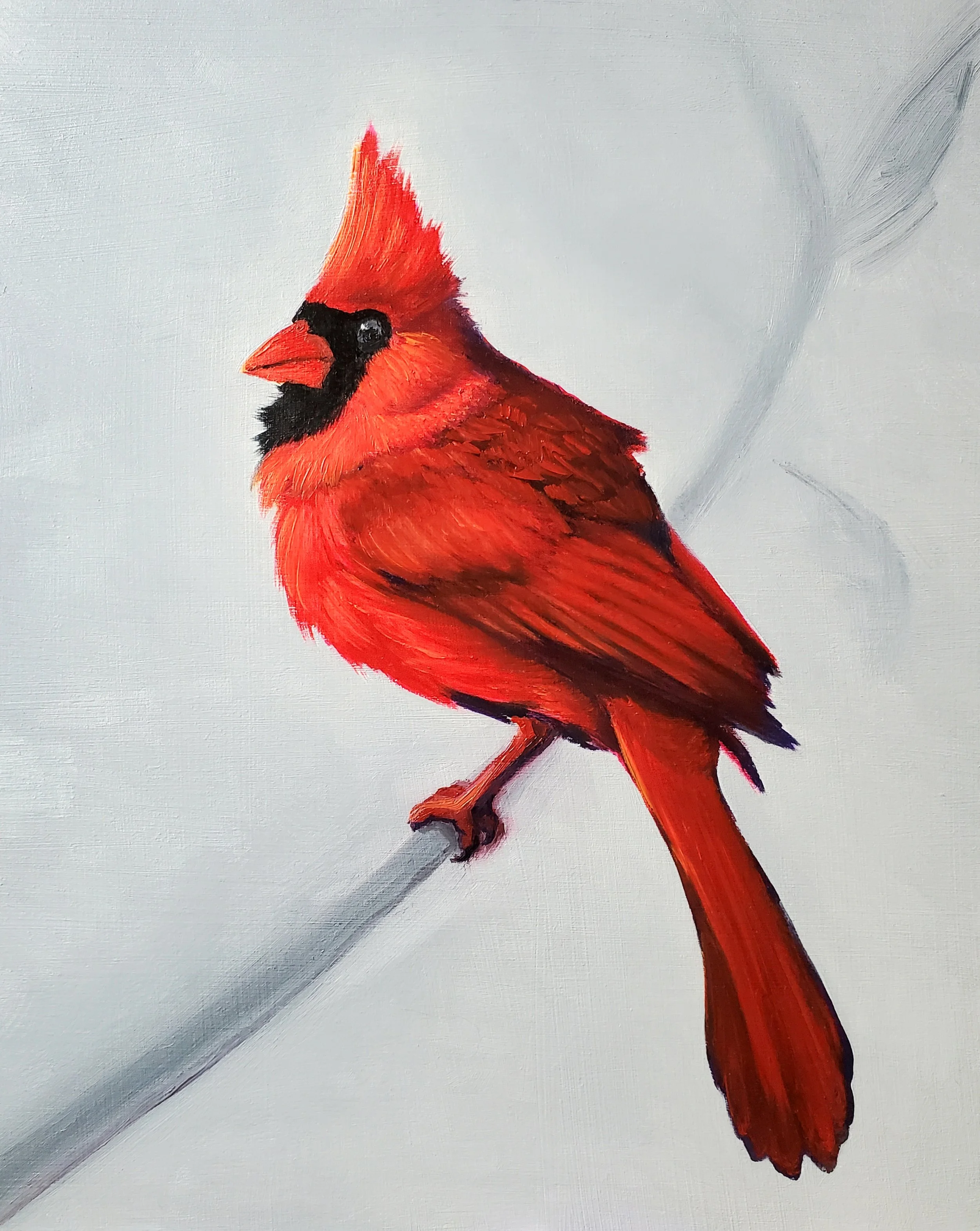 Cardinal.jpg