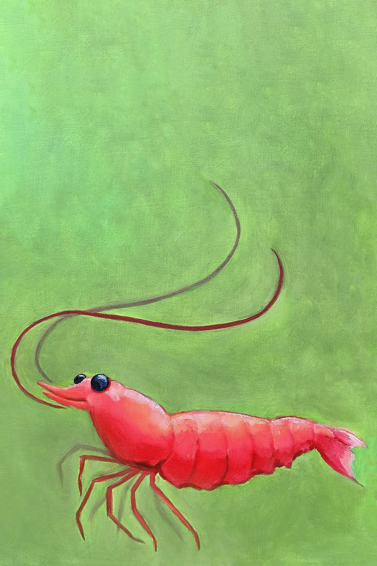 Shrimp (+15 Brightness).jpg