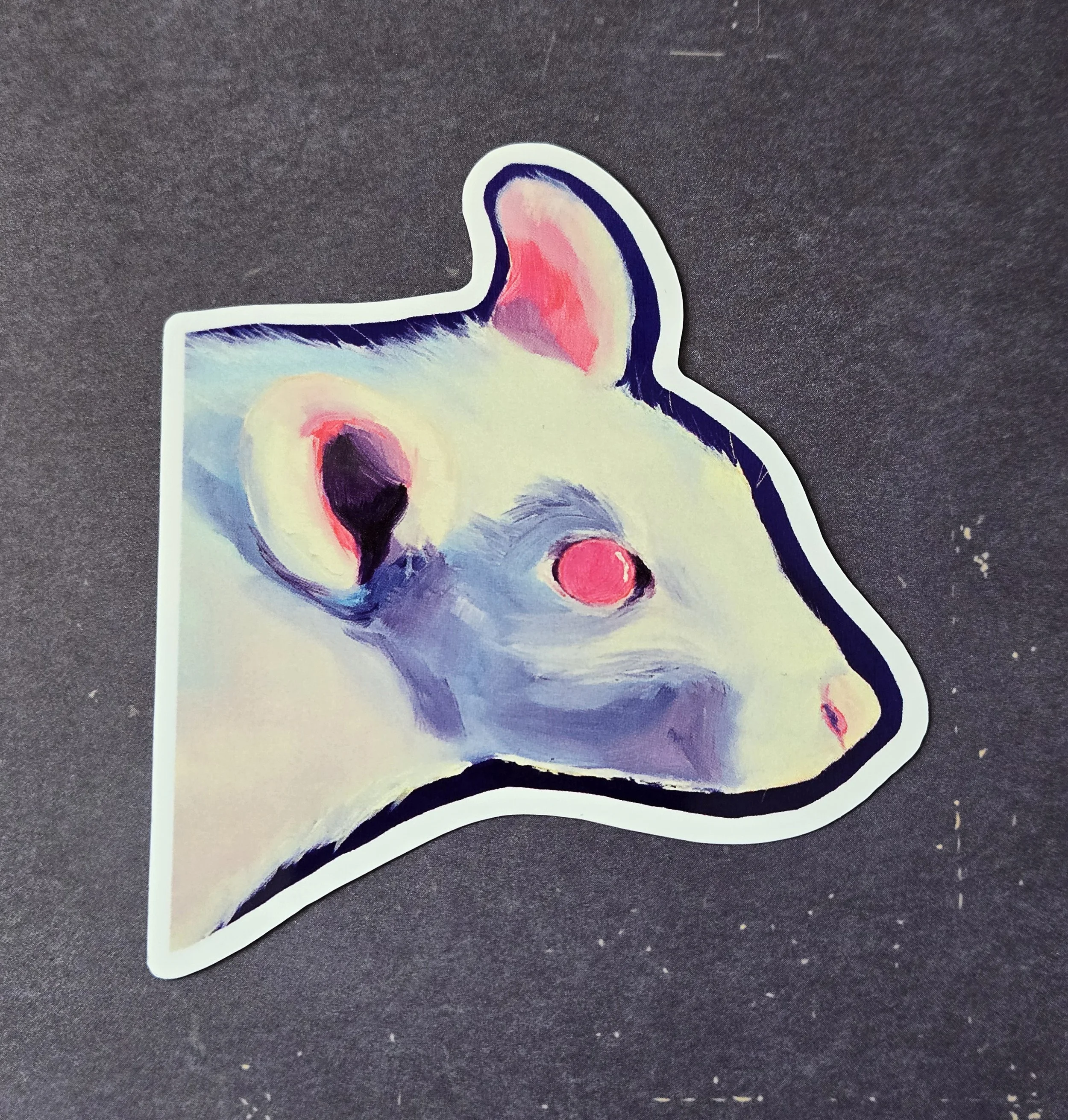Rat Albino.jpg