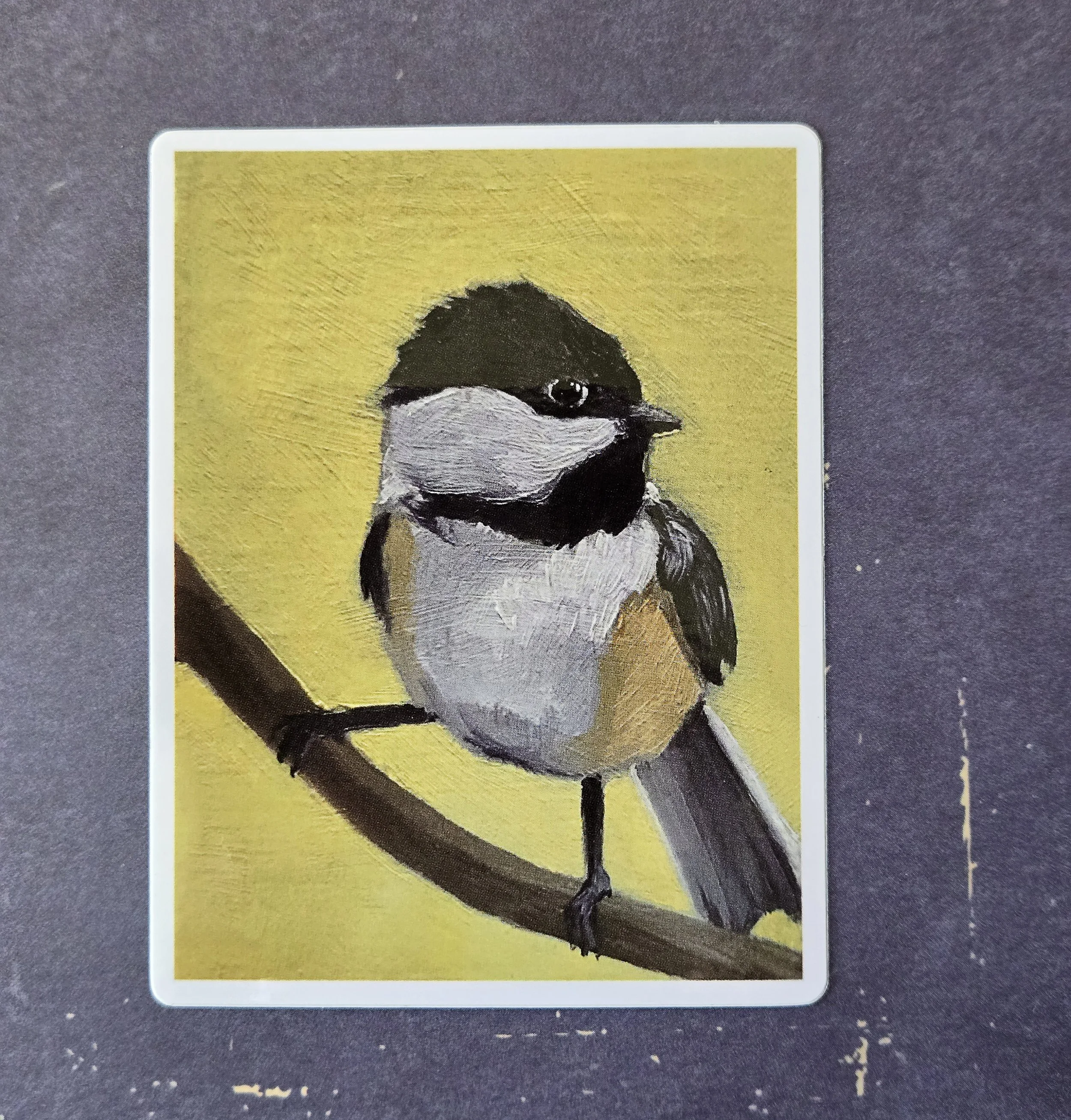 Chickadee.jpg