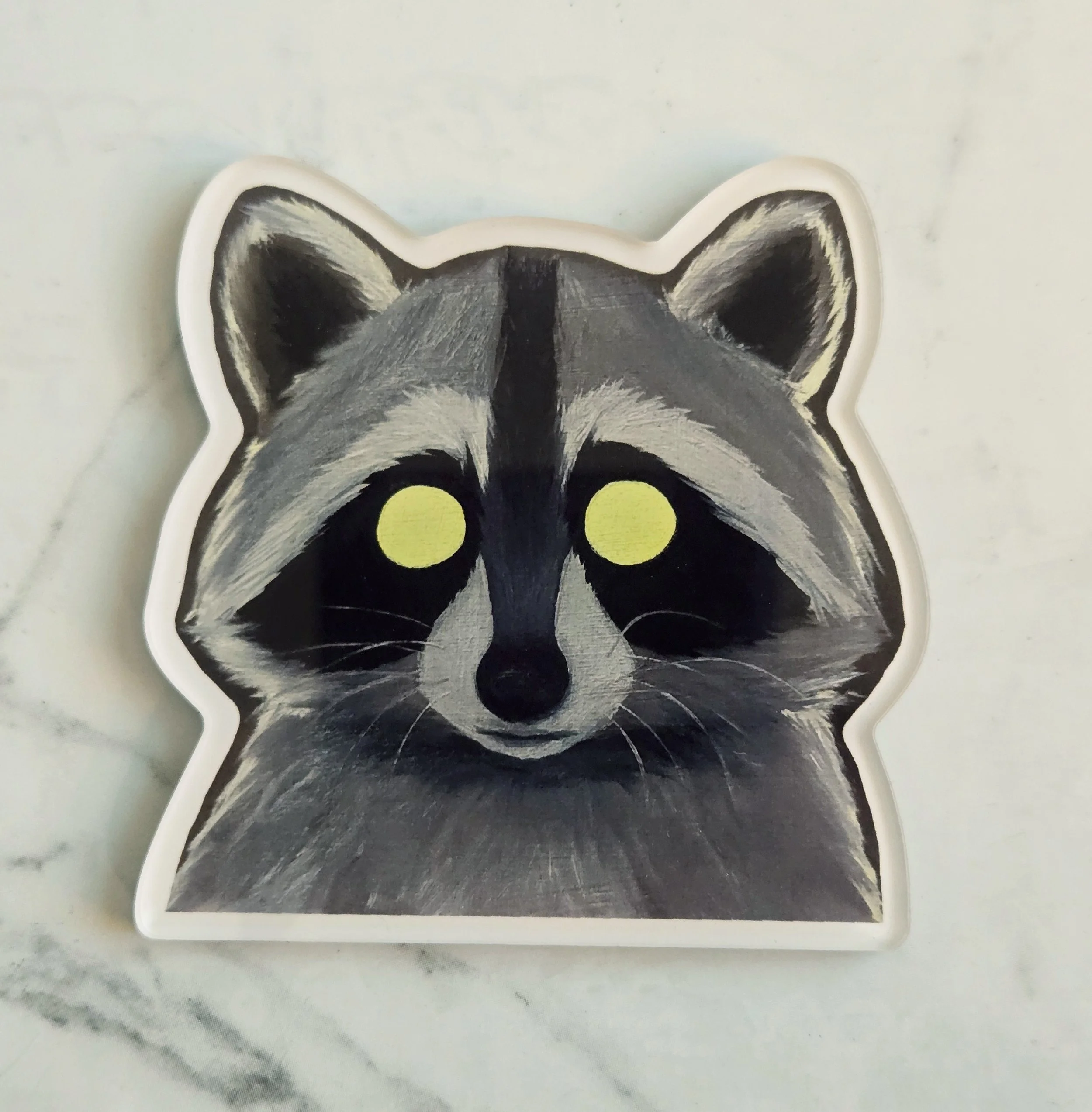 Raccoon.jpg