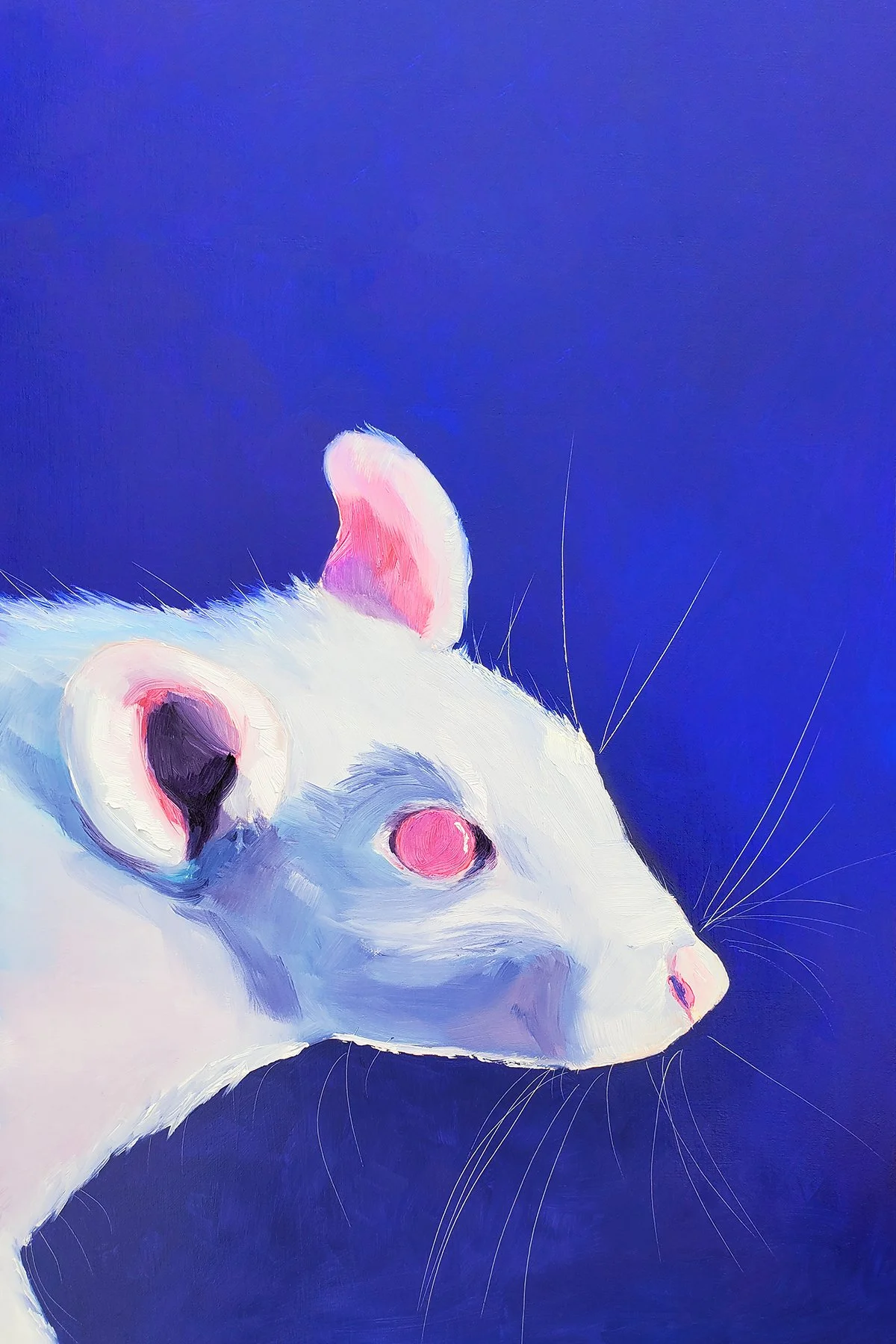 Albino Rat (+15 Brightness).jpg
