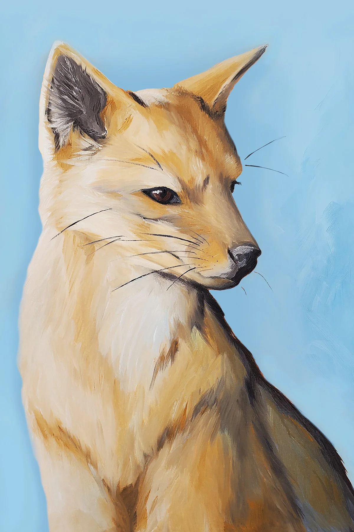 Coyote Lineless (+15 Brightness).jpg