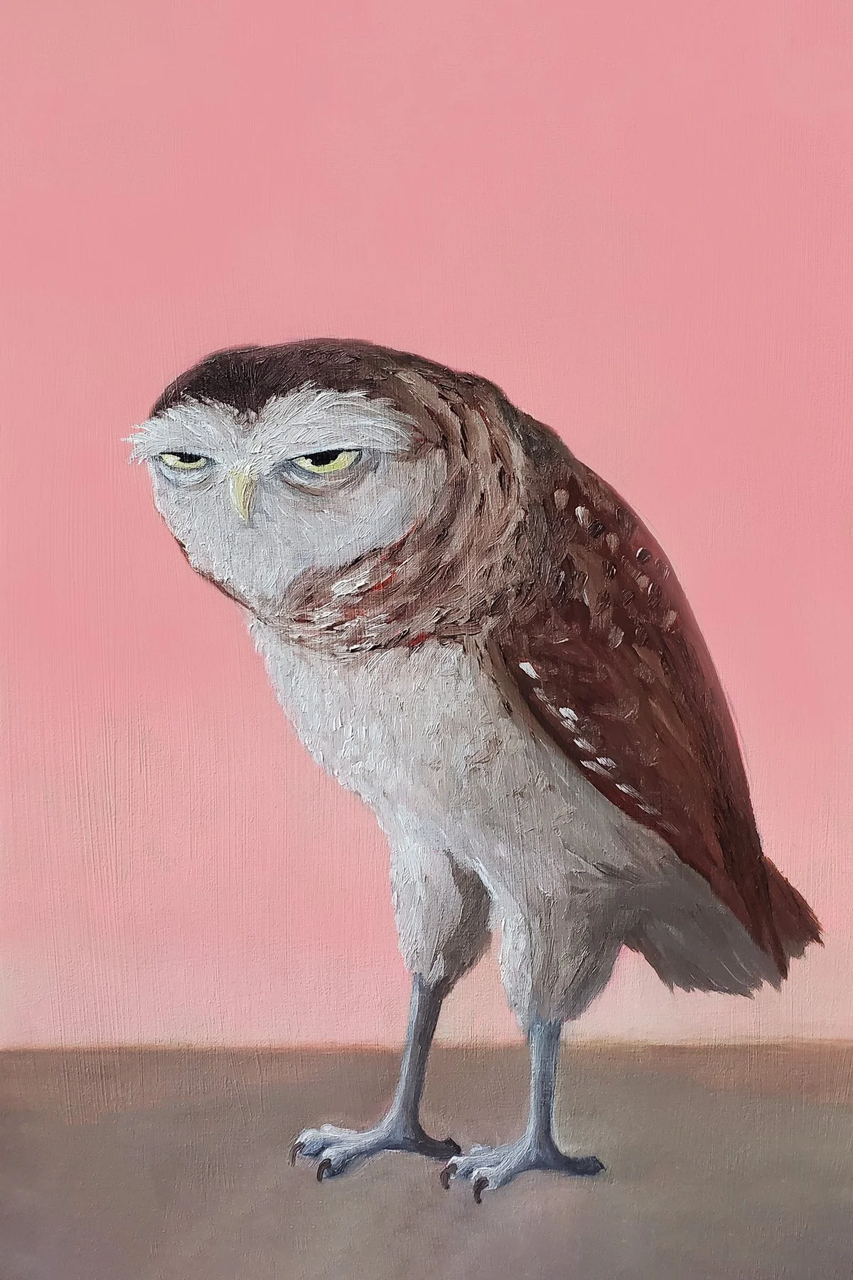 Grumpy Owl (+15 Brightness).jpg