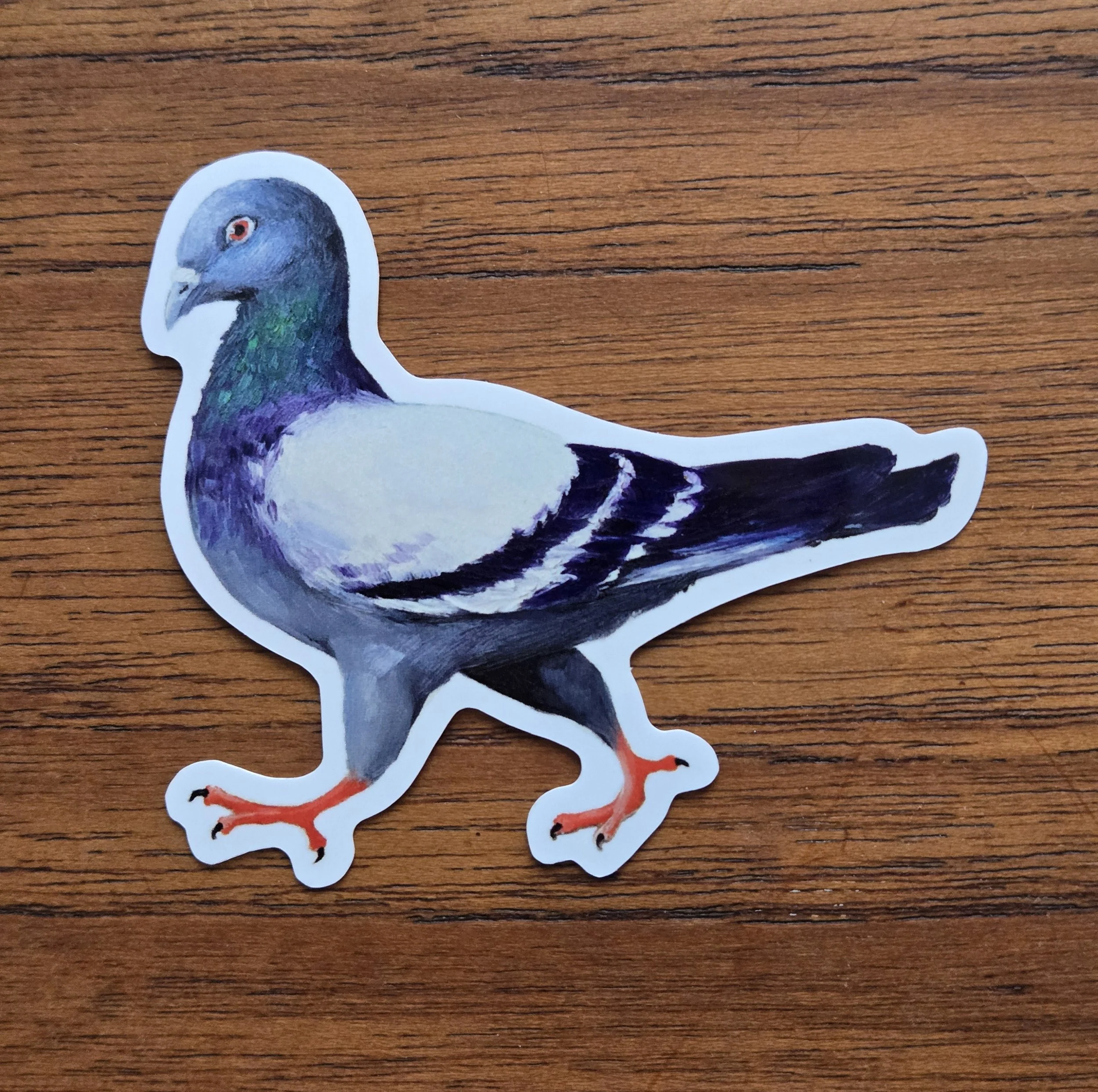 Pigeon 2.jpg