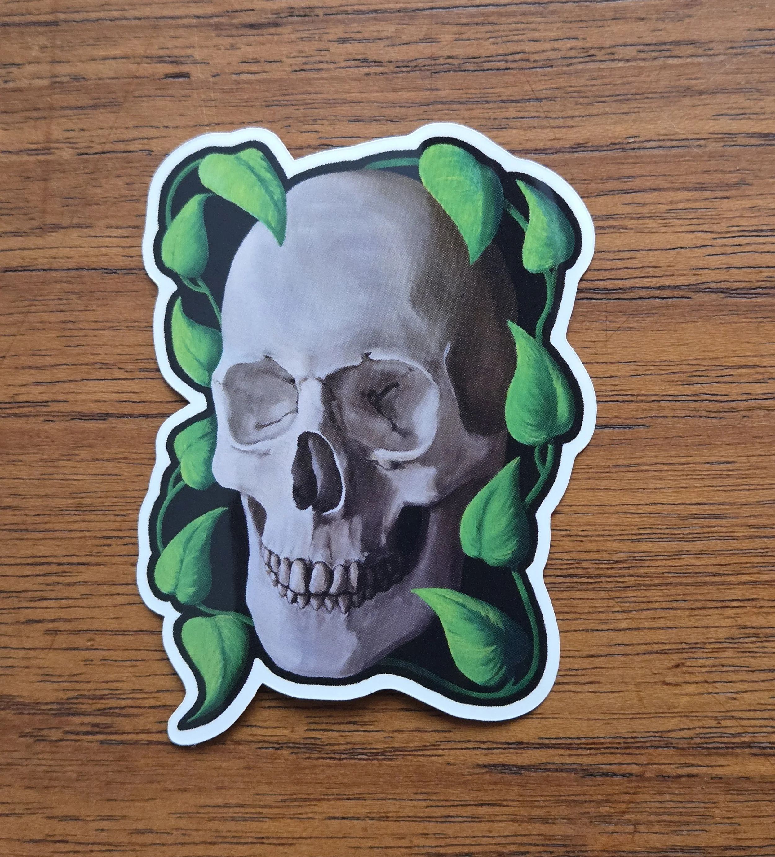 Skull Pothos 2.jpg