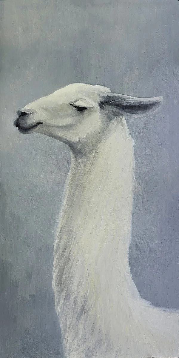 Llama.jpg