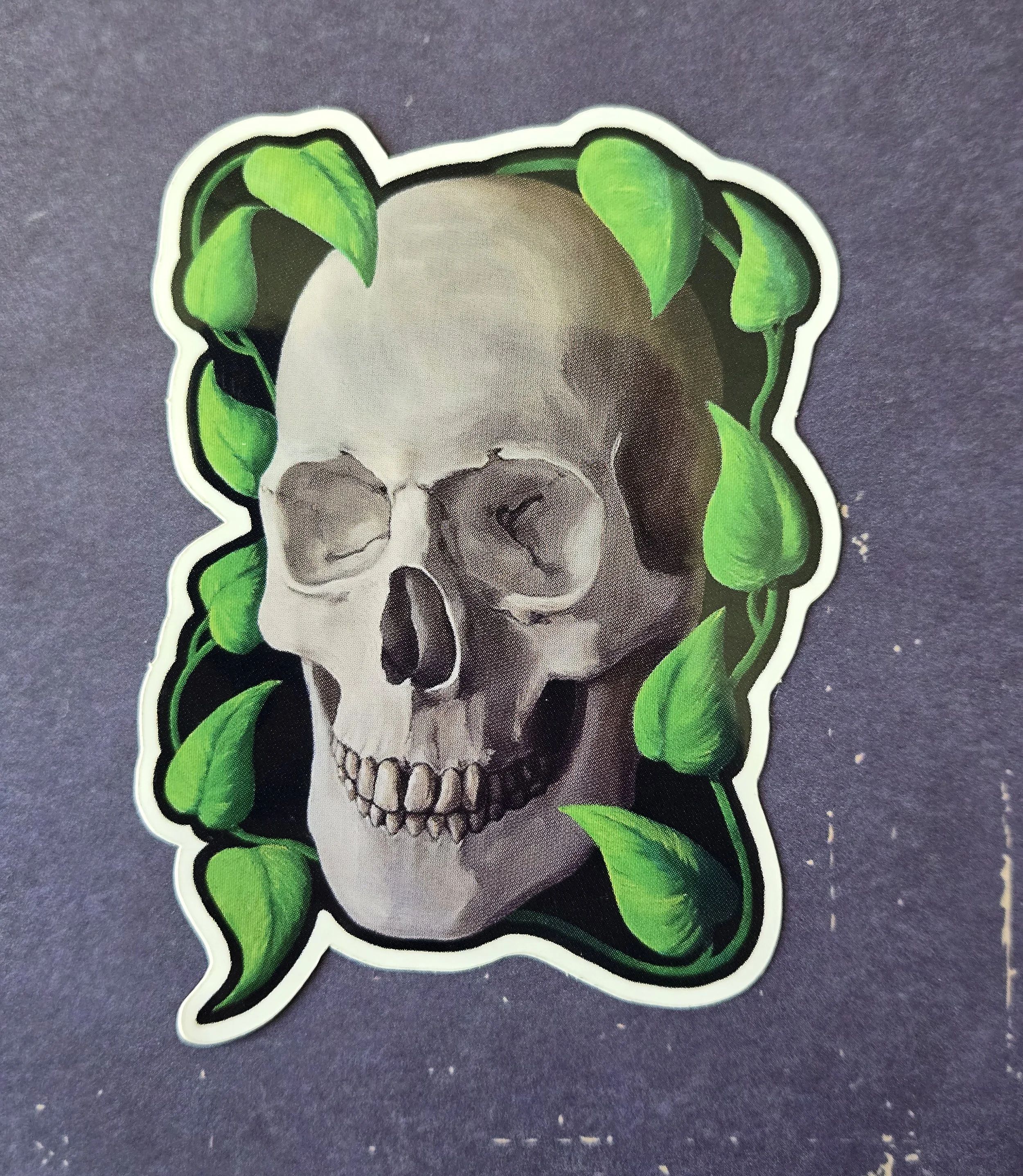 Skull Pothos.jpg