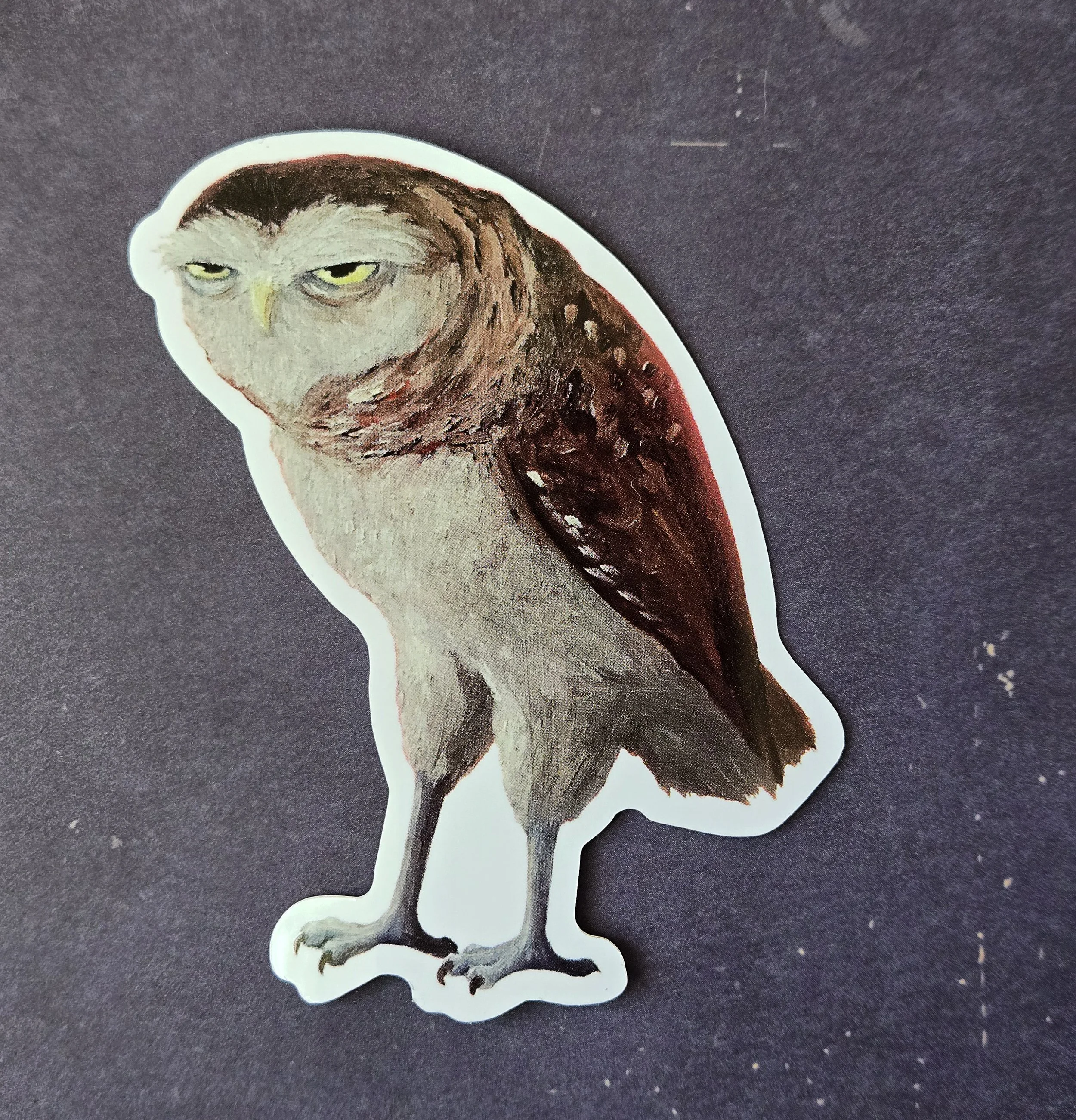 Owl Grumpy.jpg