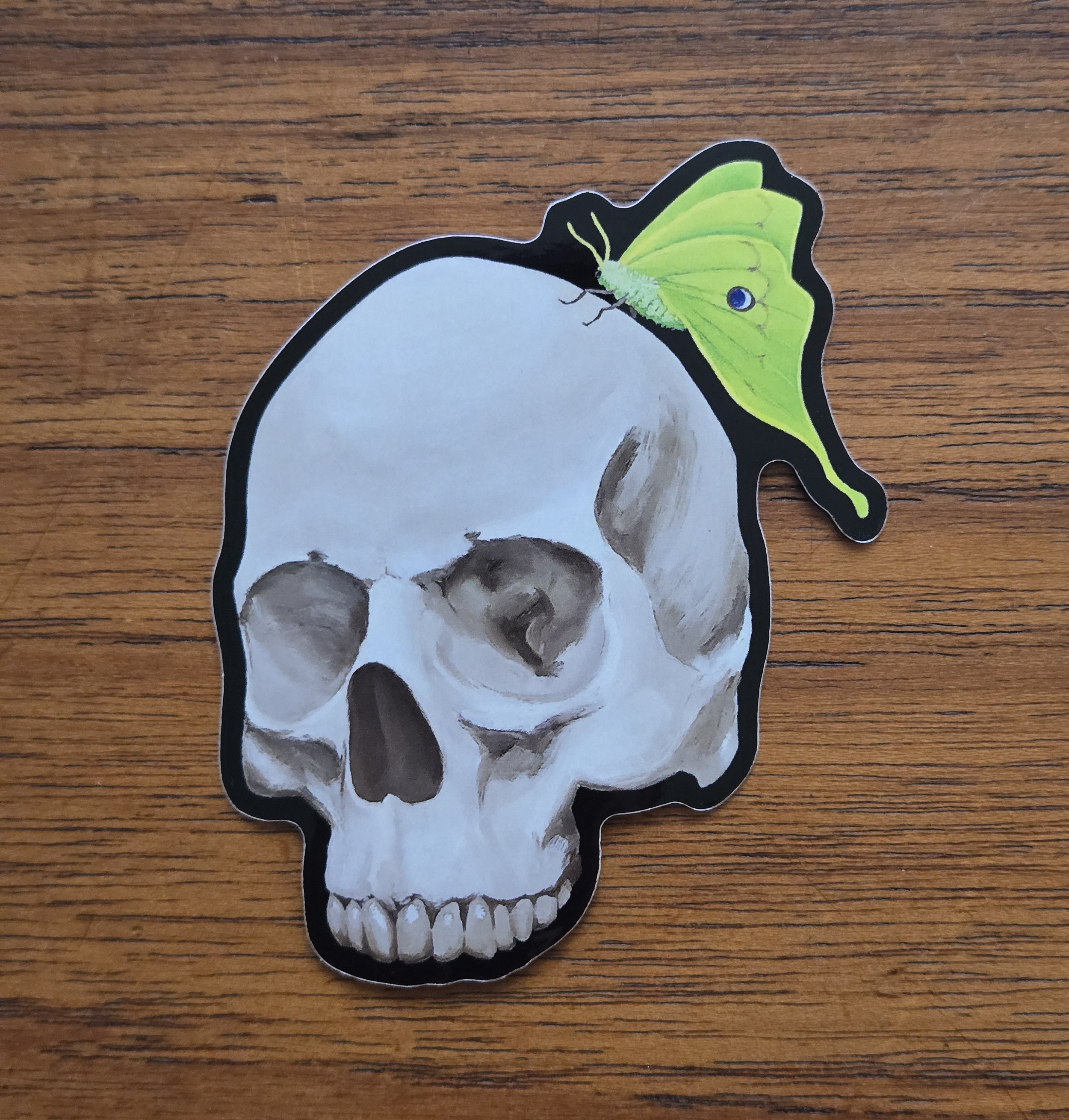 Skull Moth 2.jpg