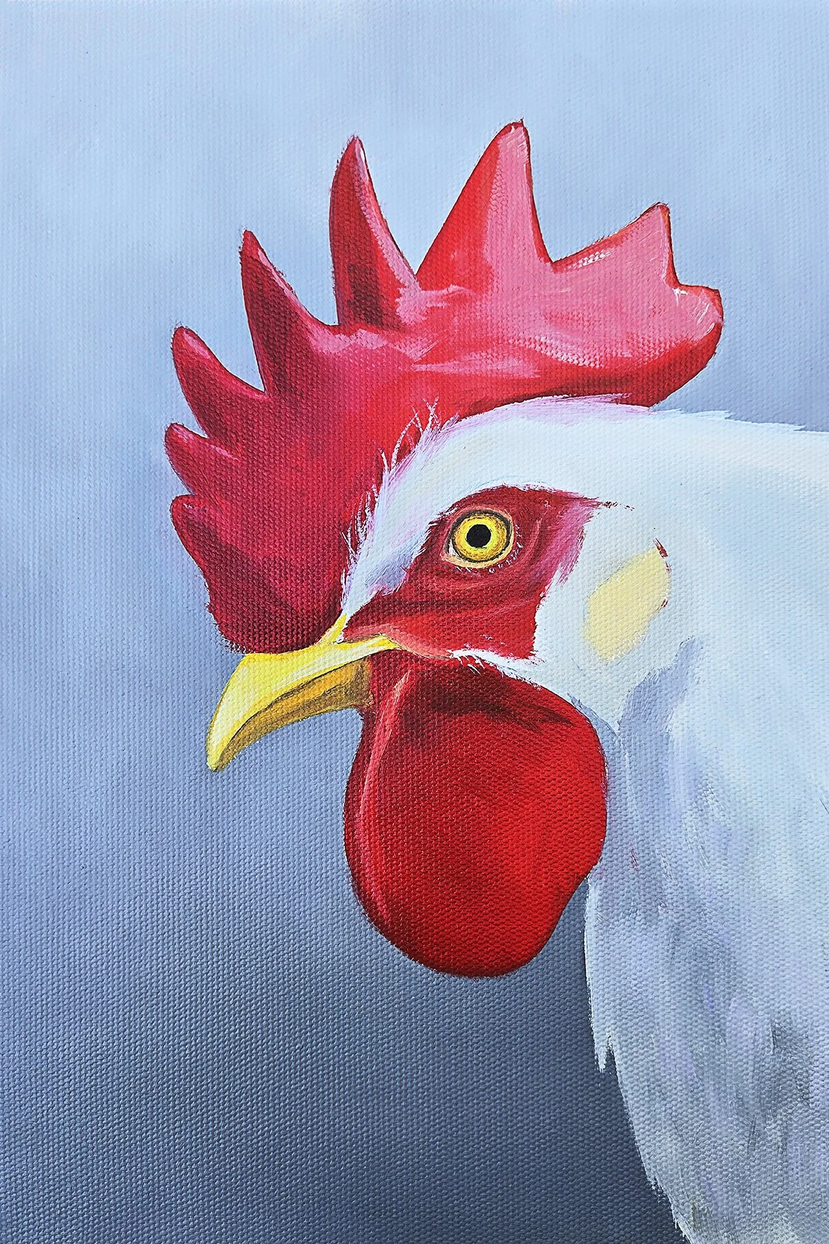 Chicken (+15 Brightness).jpg