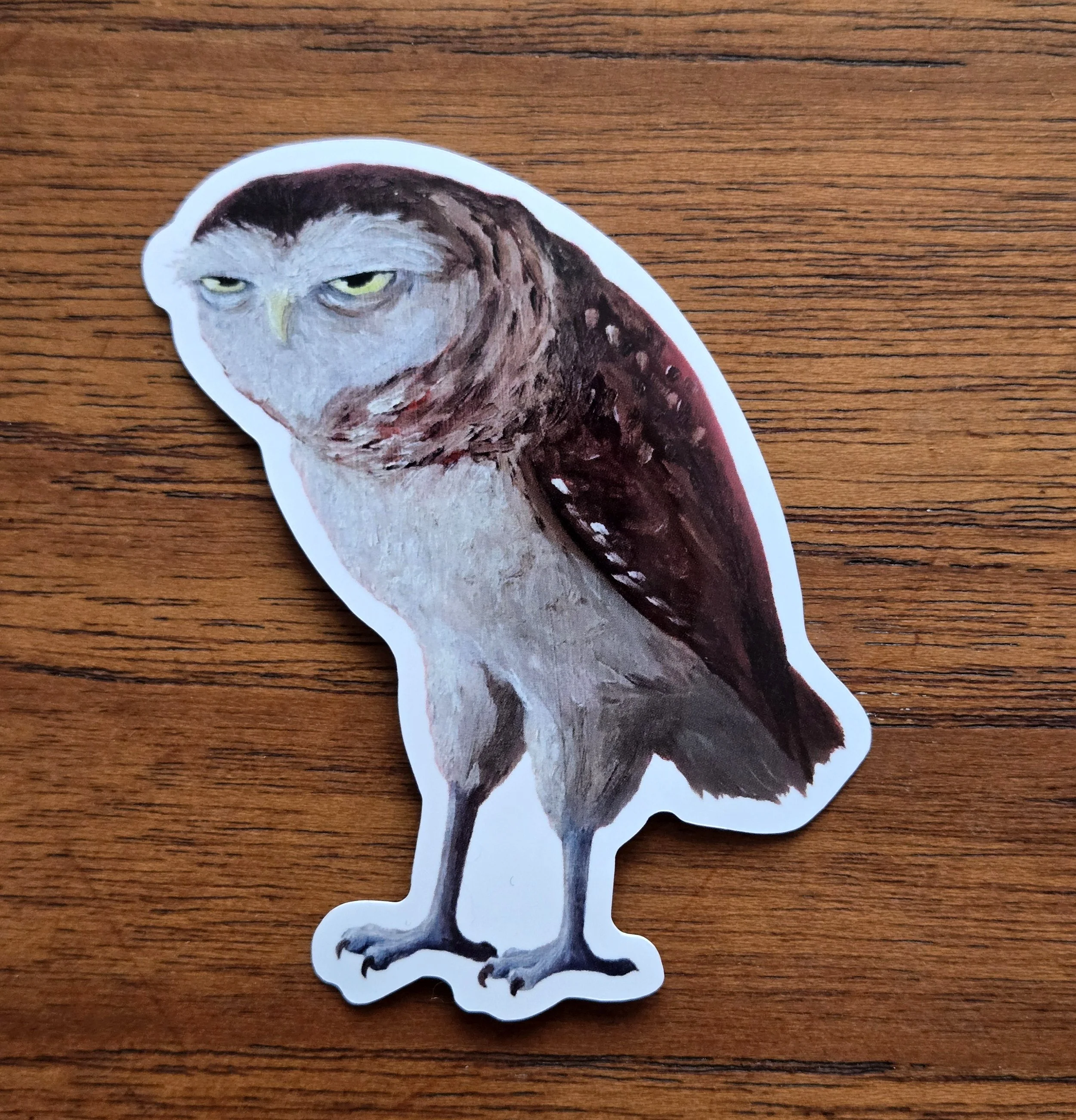 Owl Grumpy 2.jpg