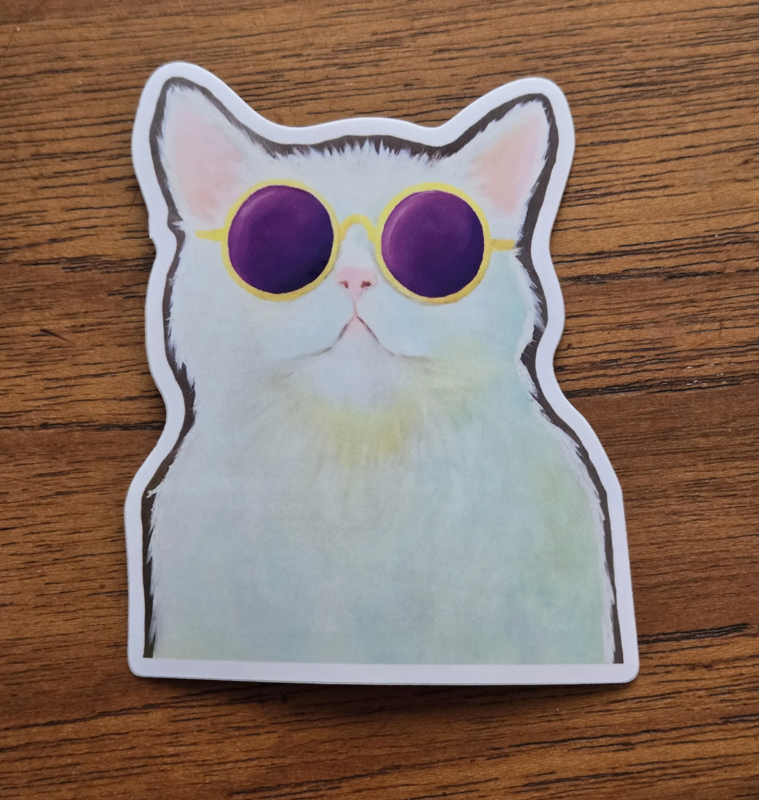 Cat Sunglasses 2.jpg