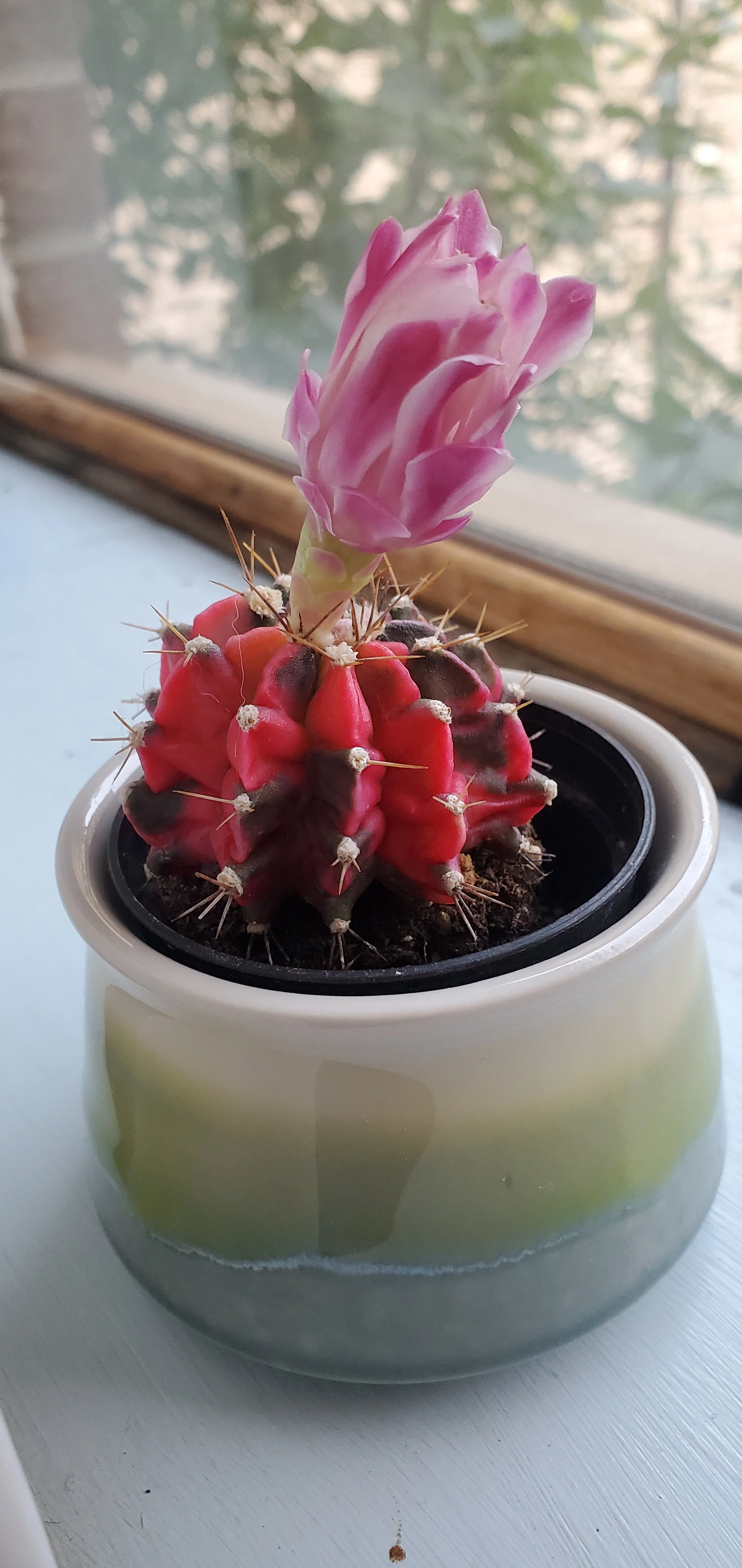 20250715_200434 (1).jpg