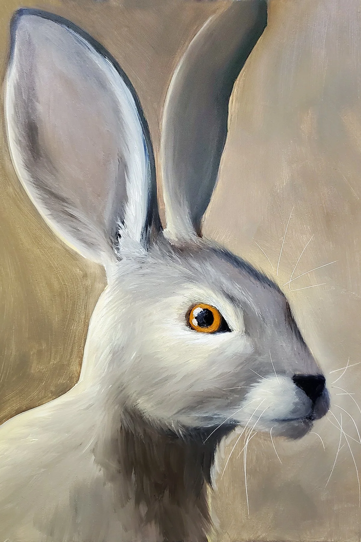 Hare (+15 Brightness).jpg