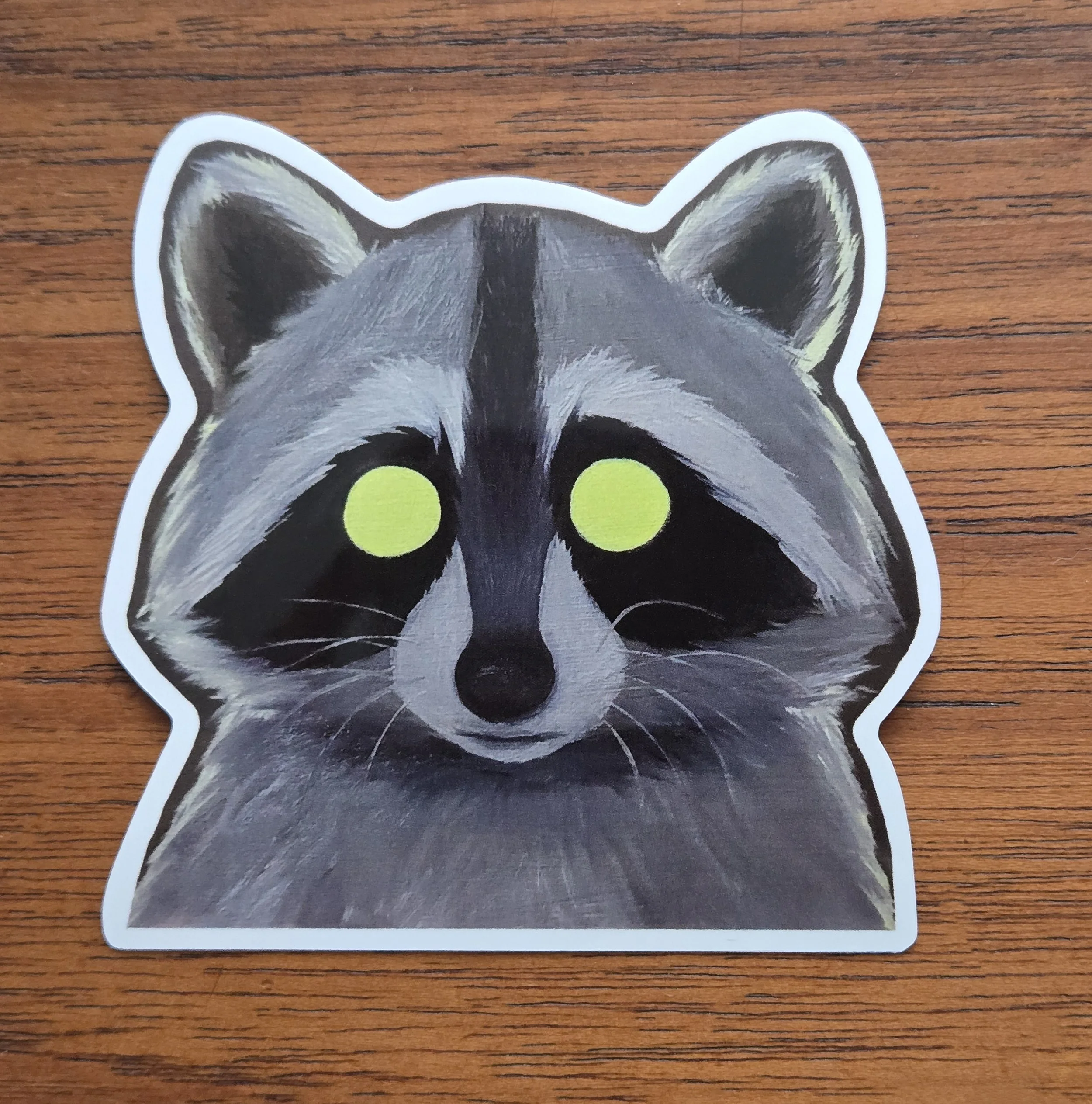 Raccoon 2.jpg