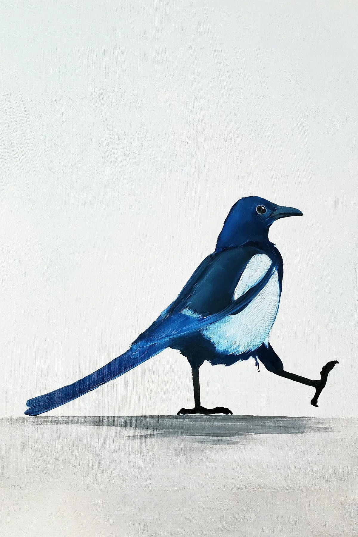 Magpie Walking (+20 Brightness +10 Contrast).jpg
