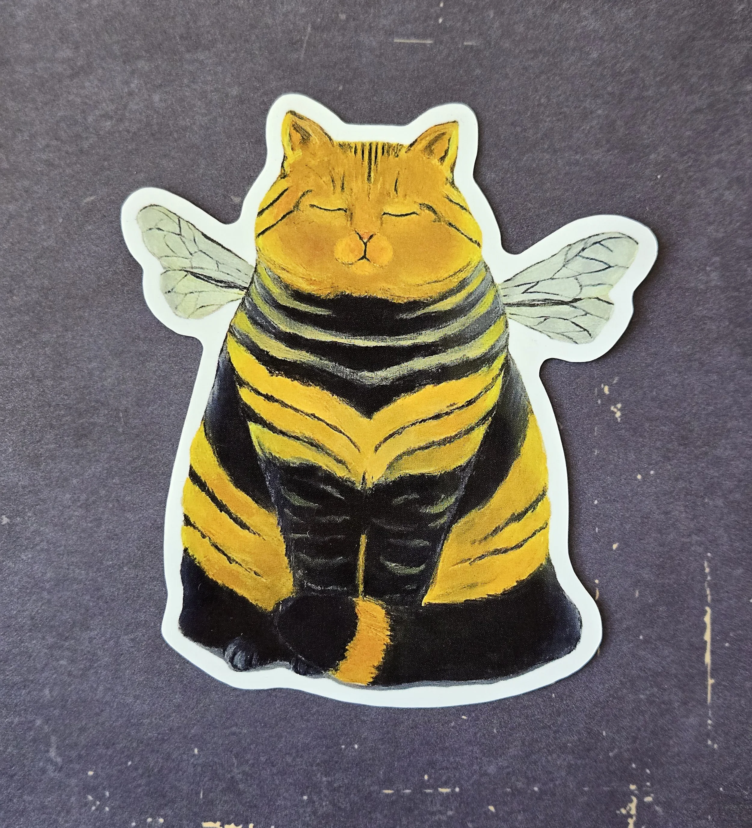 Cat Bee.jpg