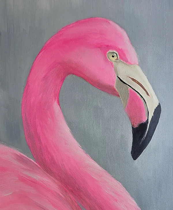 Flamingo -Squared.jpg