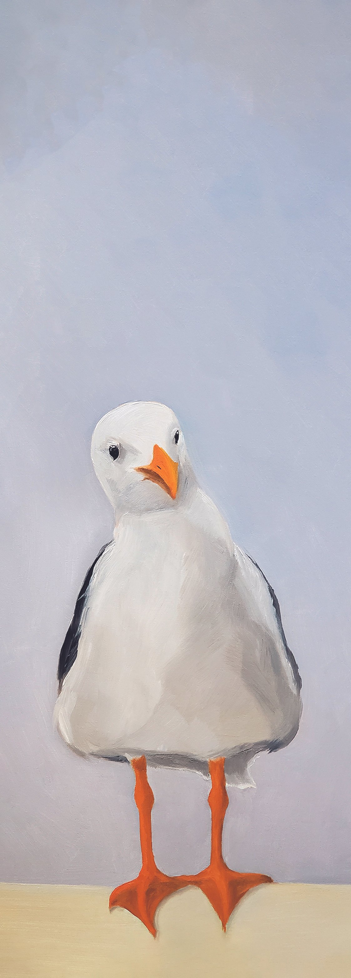 Seagull.jpg