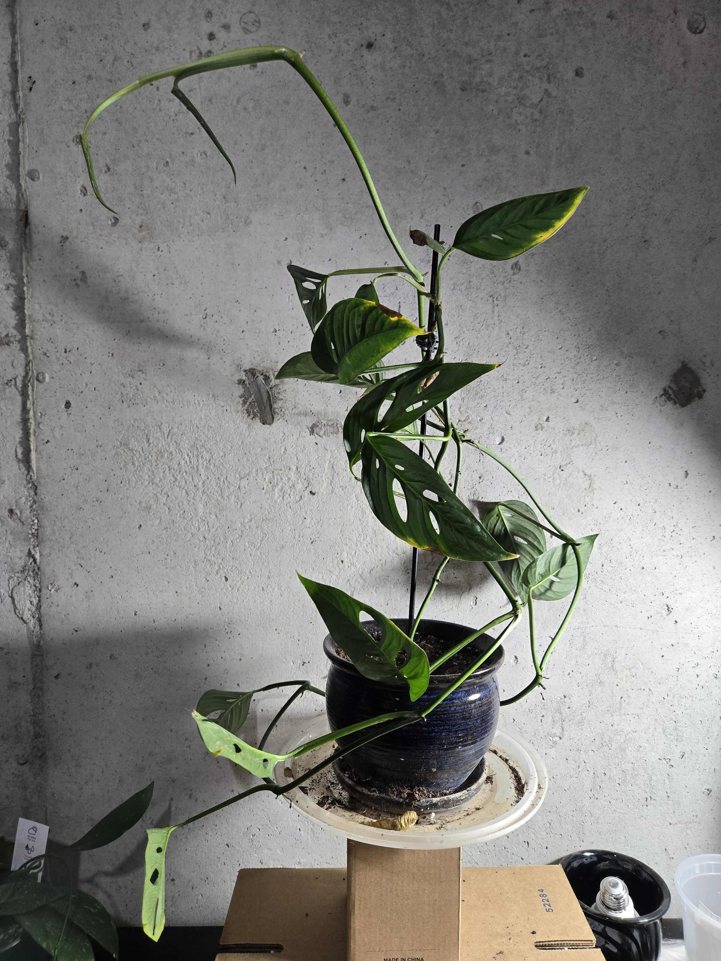 20250910_215839.jpg