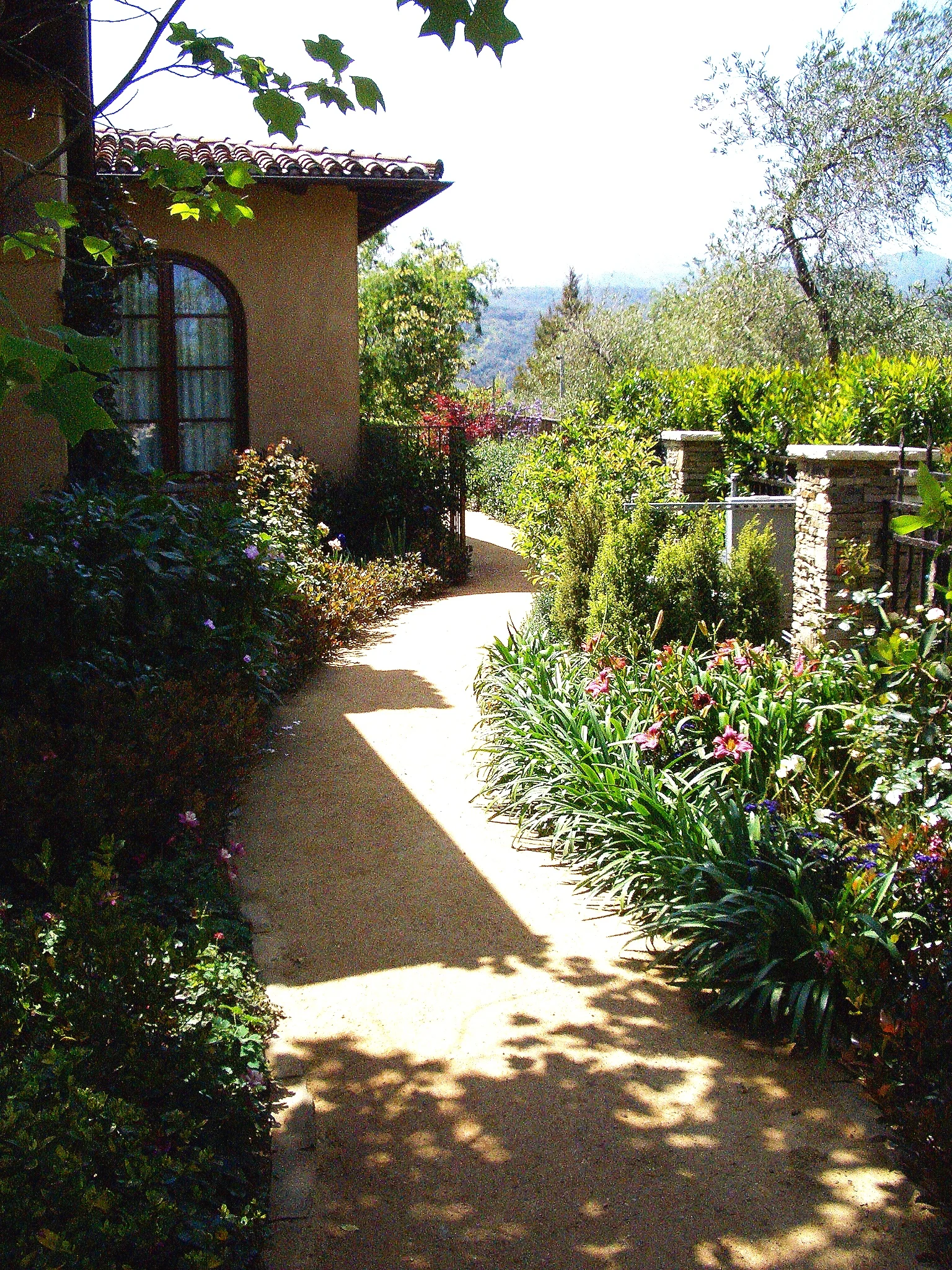 Khaleghi CIMG2367 (41).jpg