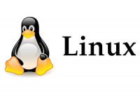 Linux - Teamviewer QS
