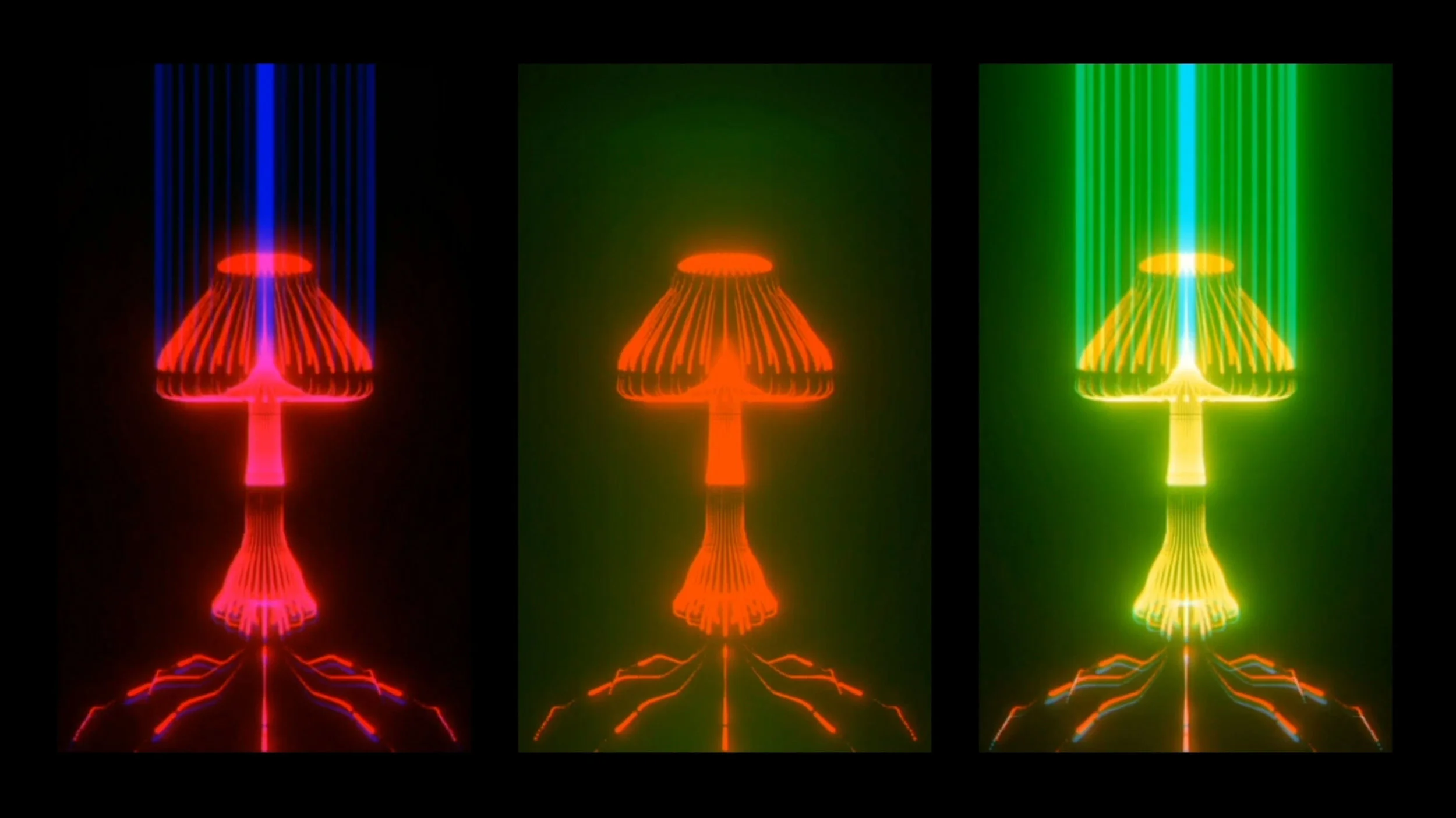 fungi4.jpg