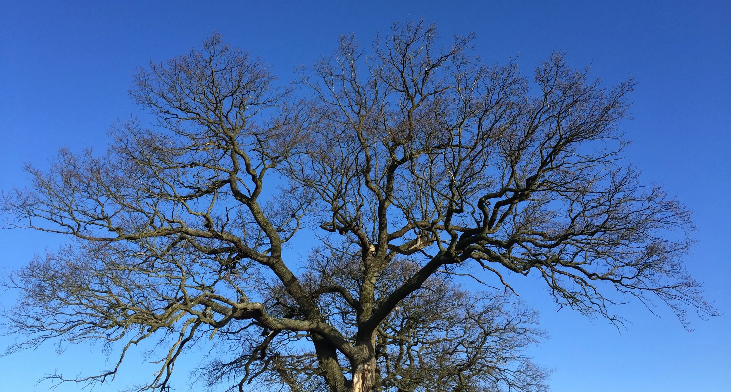 Valuations are not prices