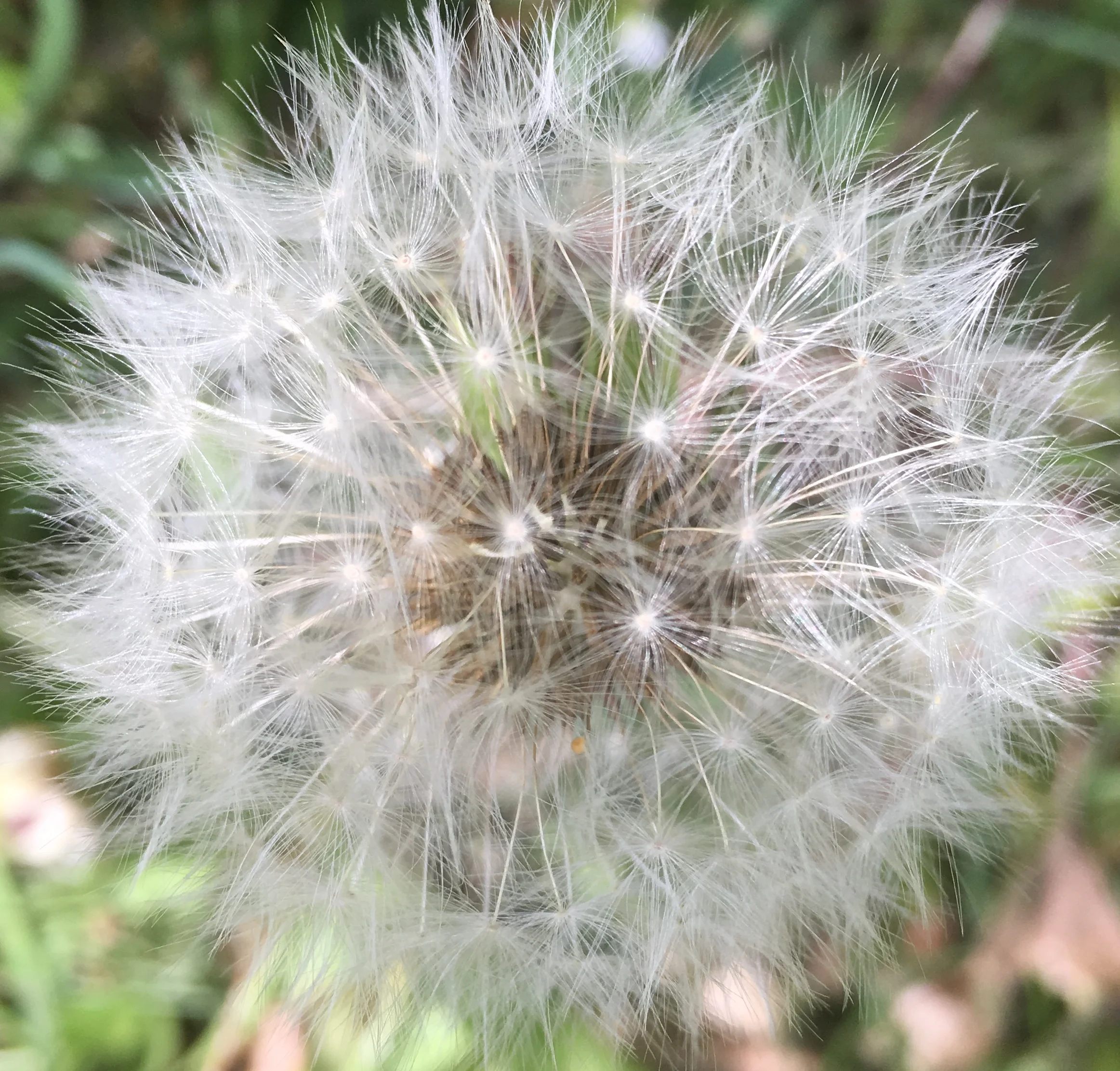 Risky decision-making processes