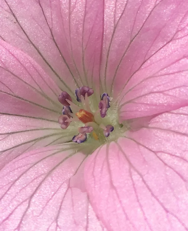 Volatility, liquidity, prices and valuations