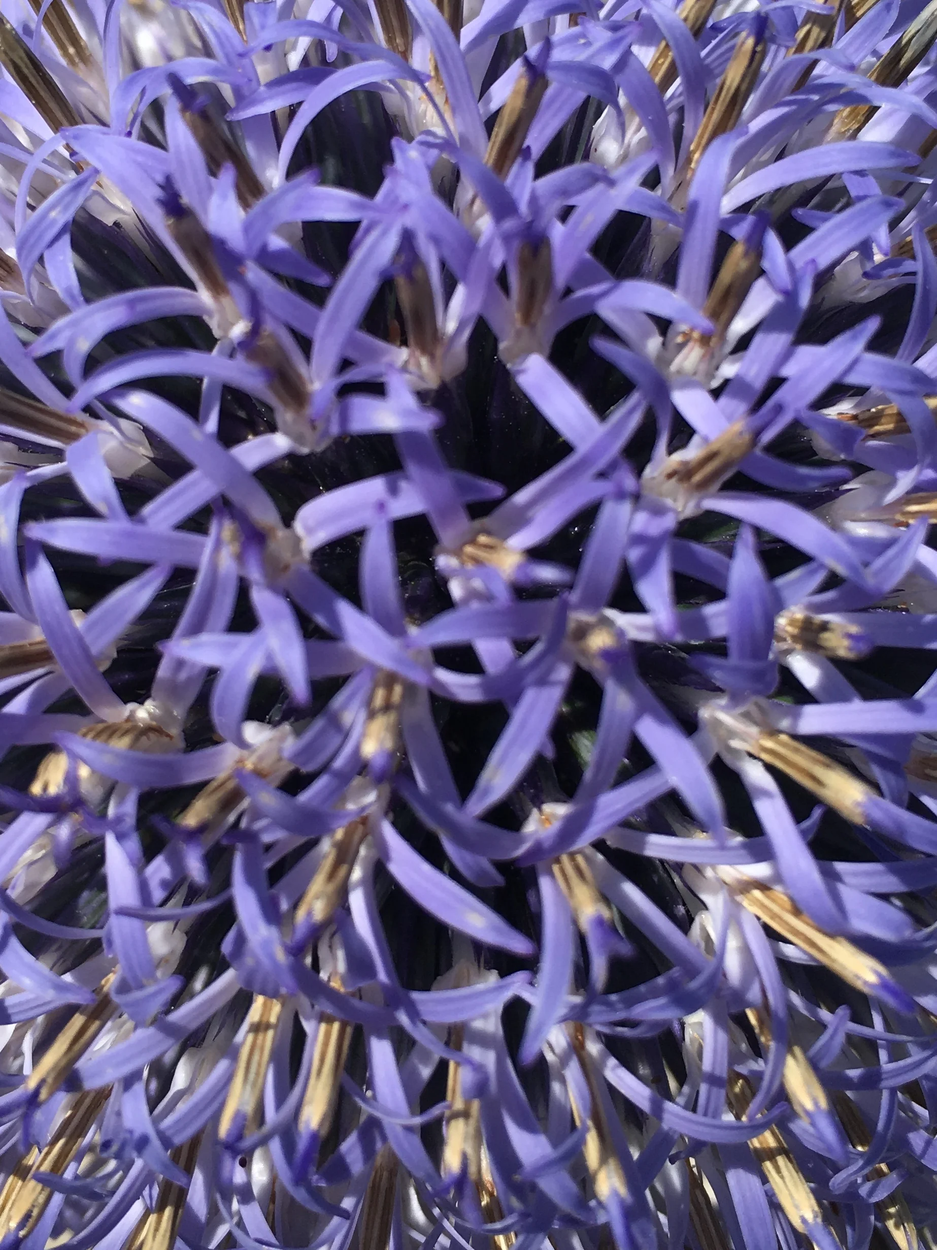 Can you play your cards right?