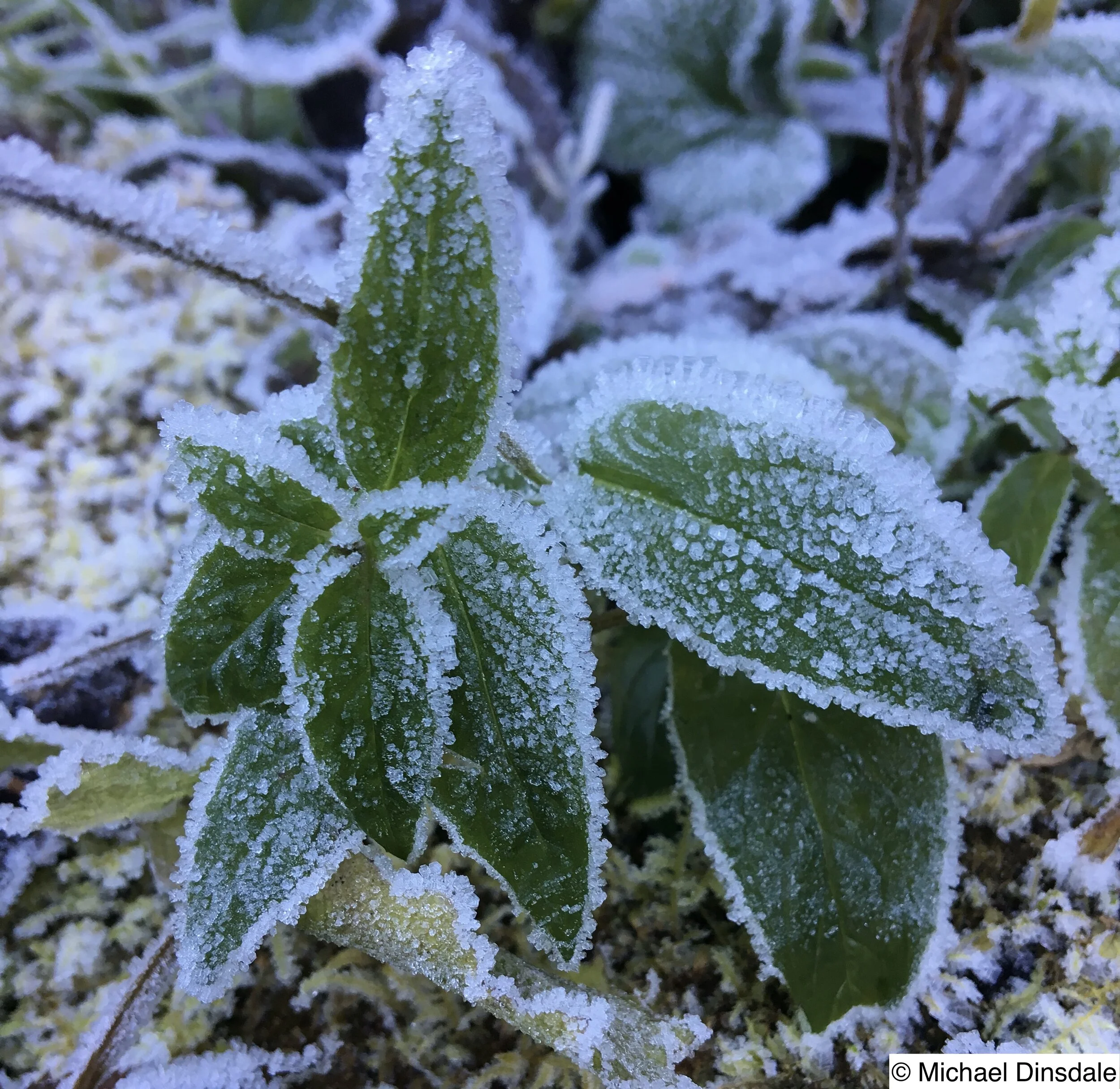 Cautiously optimistic?