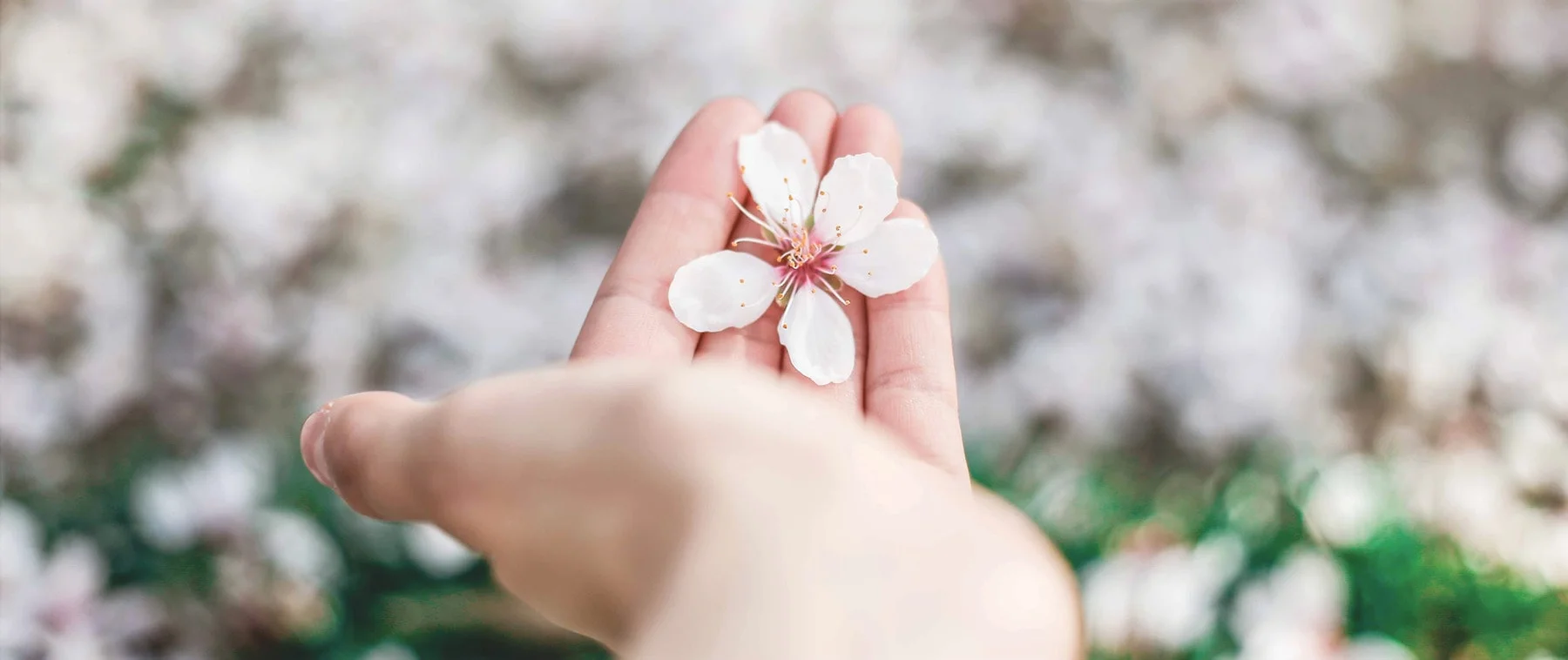 Wellbeing Writer Feature: Why it is OK to Experience Suffering, and How to Find Freedom