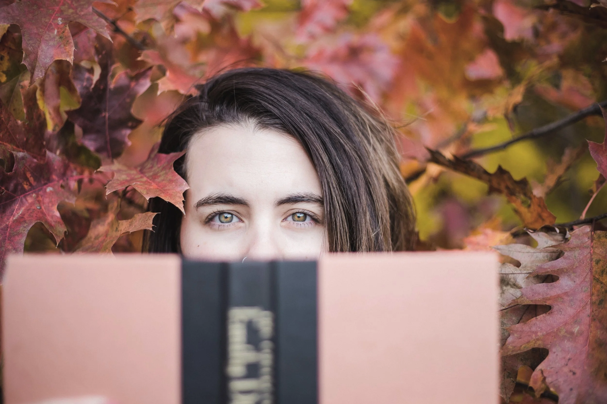 Thrive Global Feature: What We Can Learn About Suffering from Trees As Autumn Ushers In