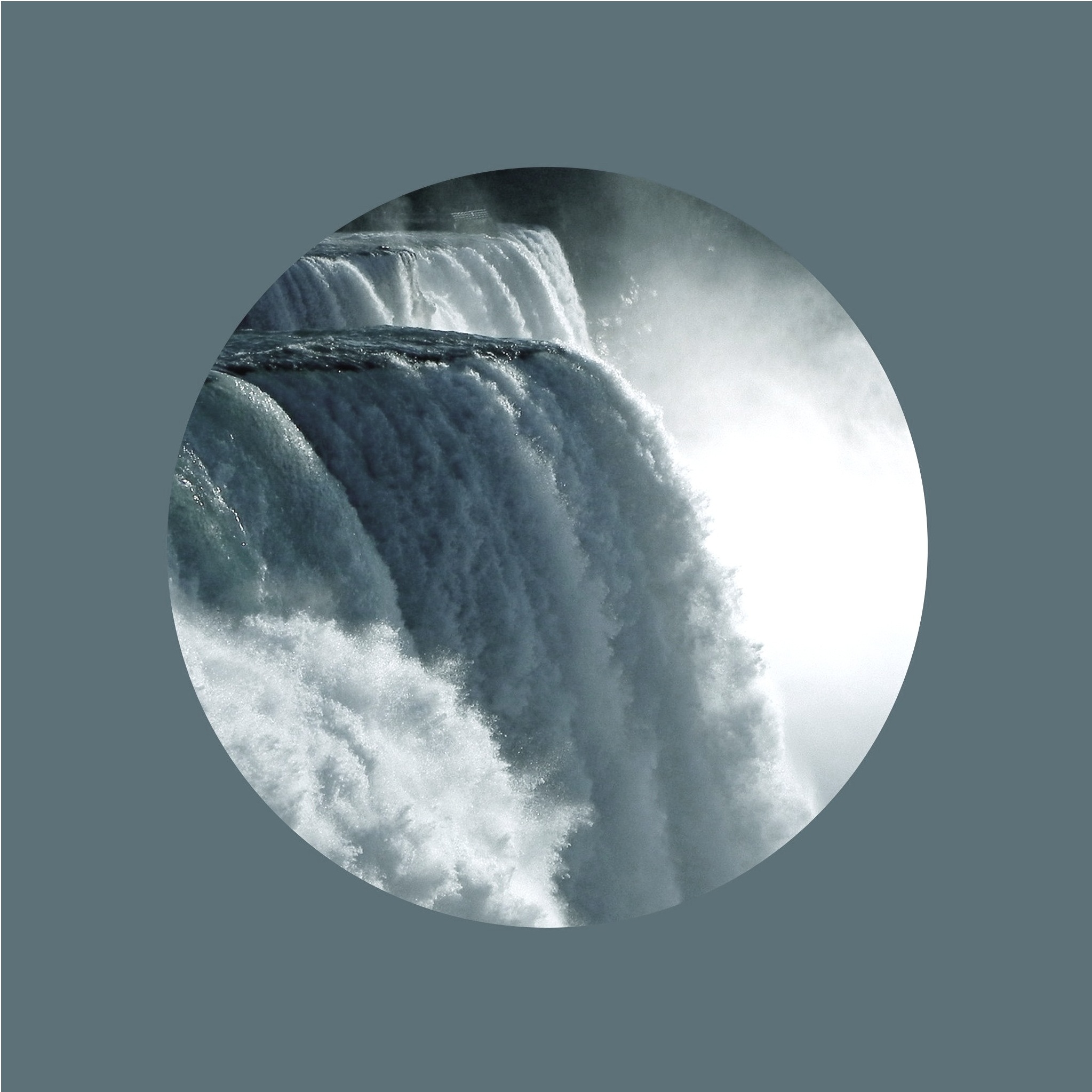 Emerald%2Band%2BTiger%2BStill%2Bin%2Bthe%2BCity.jpg