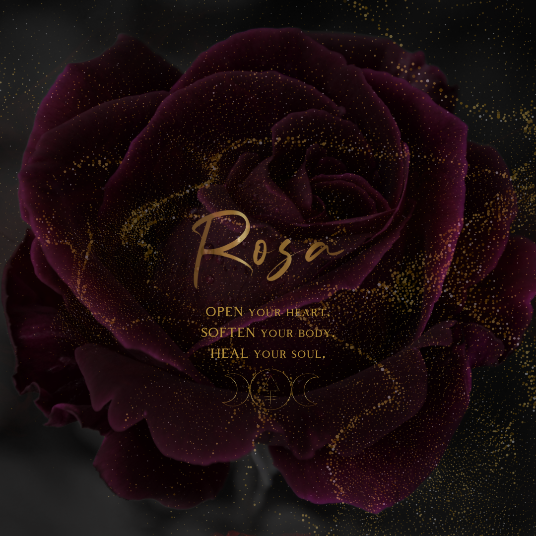 Crucible Title - Rosa 🌹_20231106_162245_0000.png