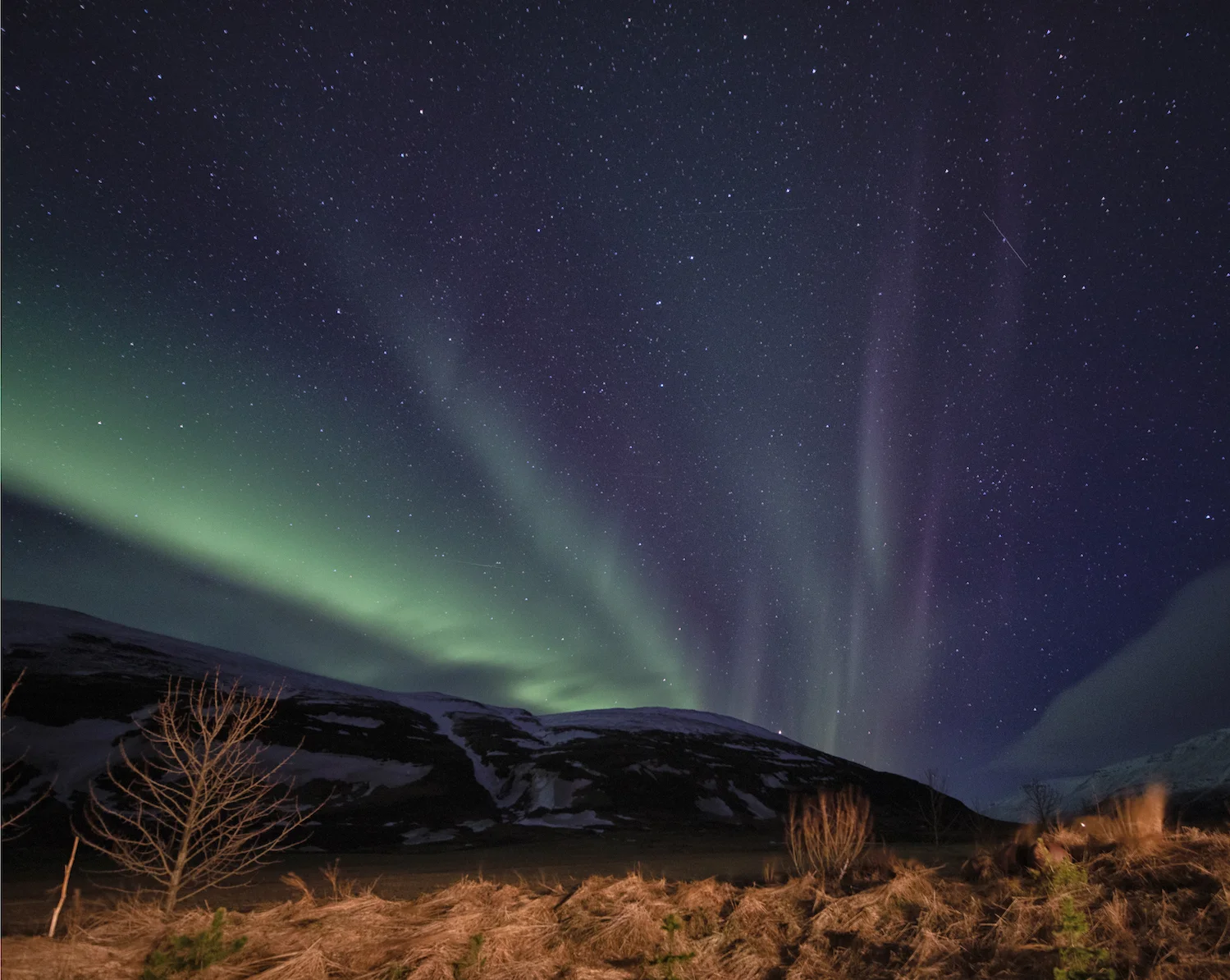 Western Fjords, Vogur