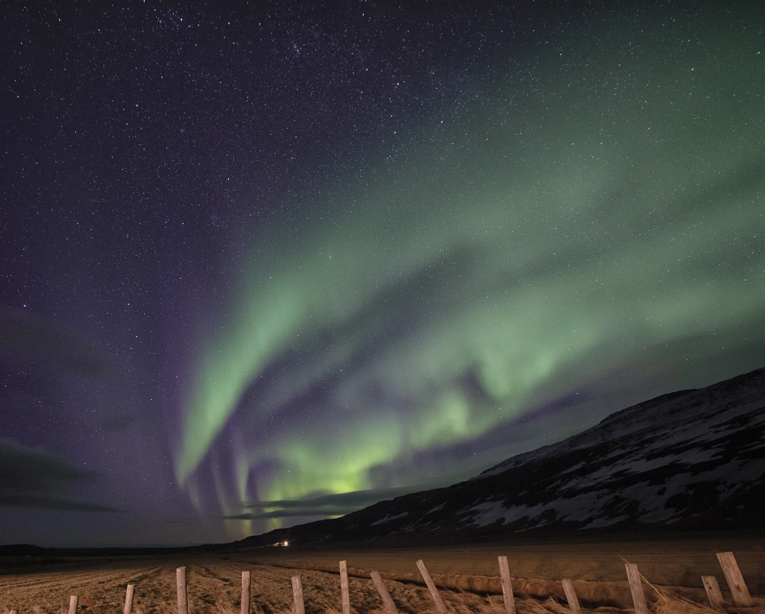 Western Fjords, Vogur