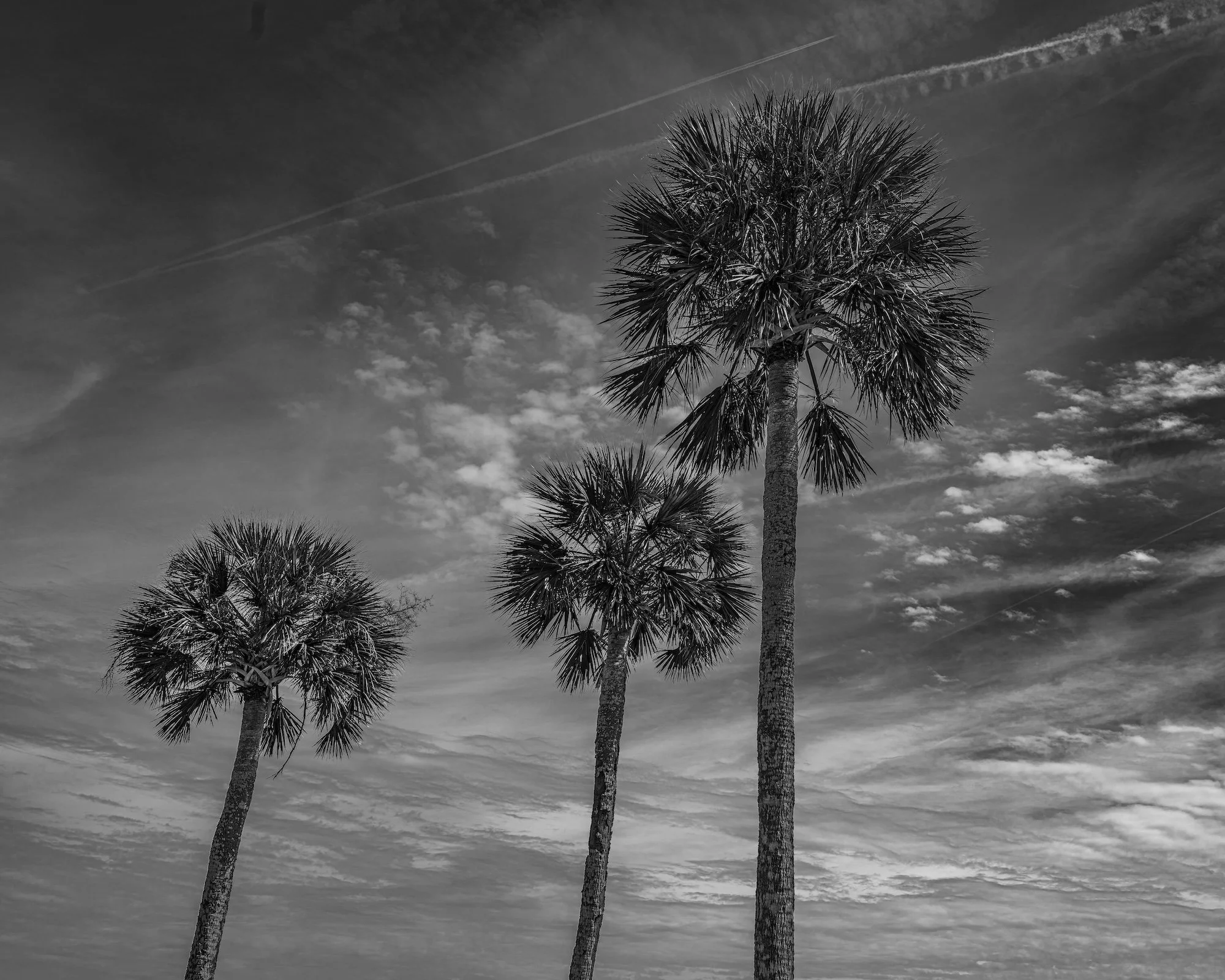 St. Augustine2 copy.jpg