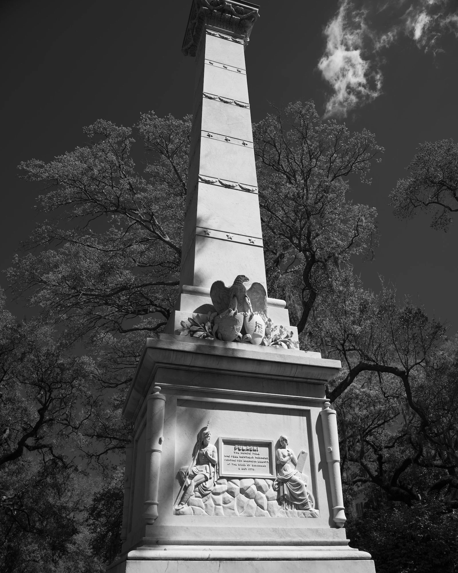 Savannah Pulaski Monument copy.jpg