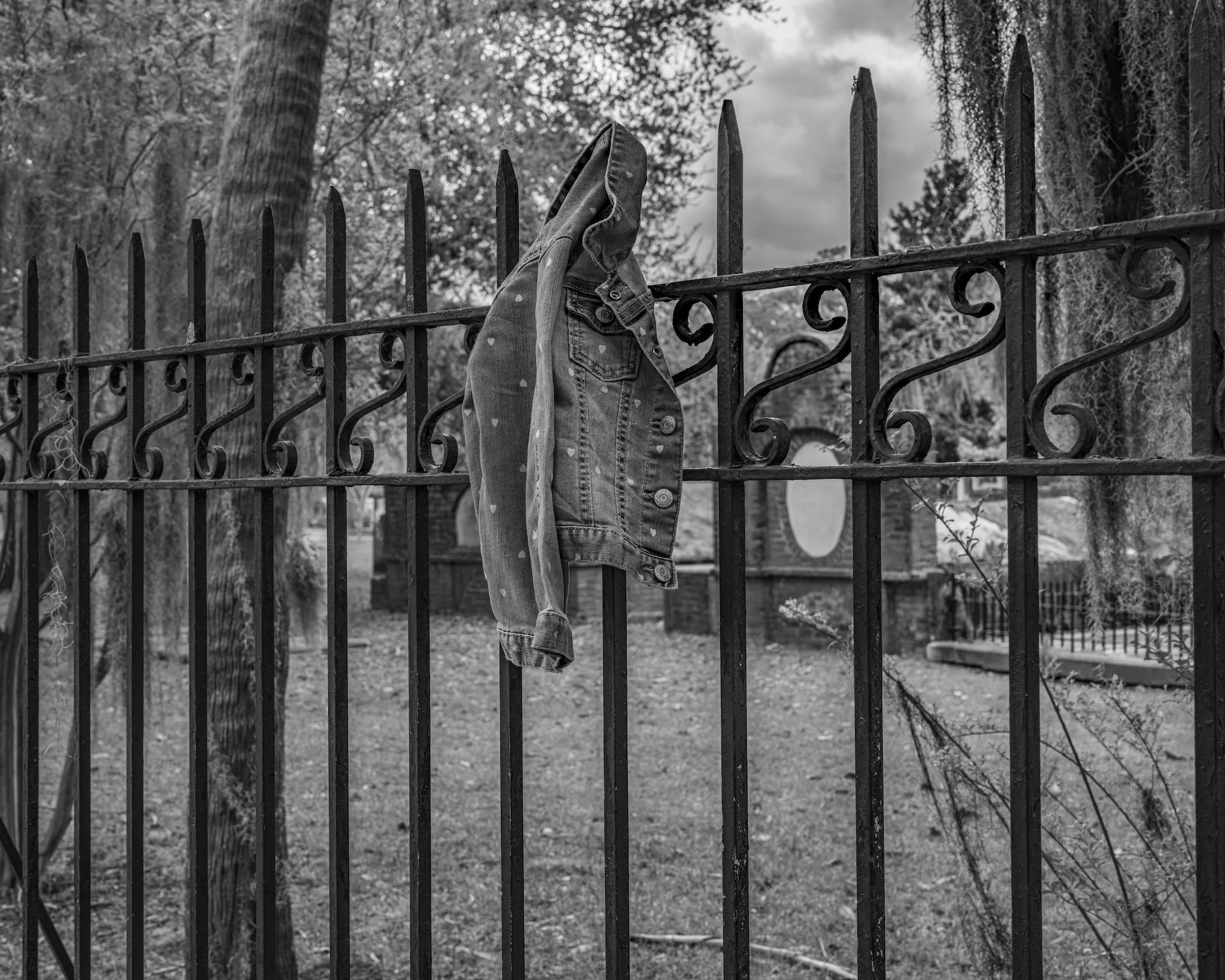 Savannah Graveyard2a copy.jpg